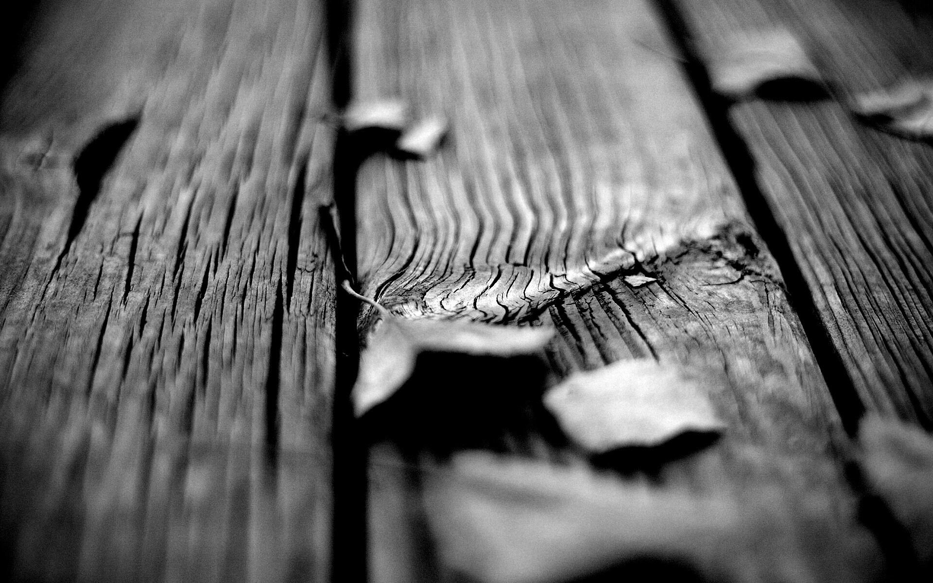 Листья на дощатом полу обои