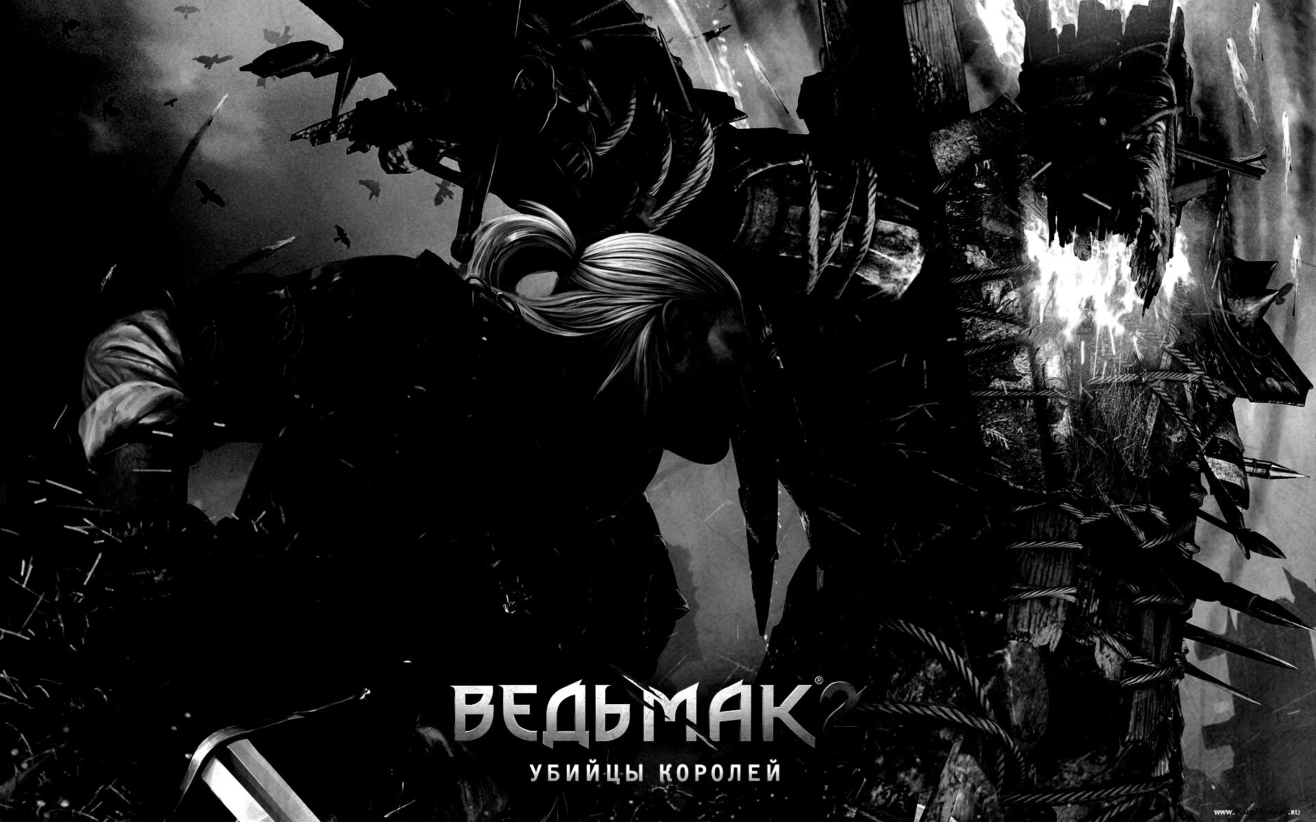 Ведьмак 2 - убийцы королей обои
