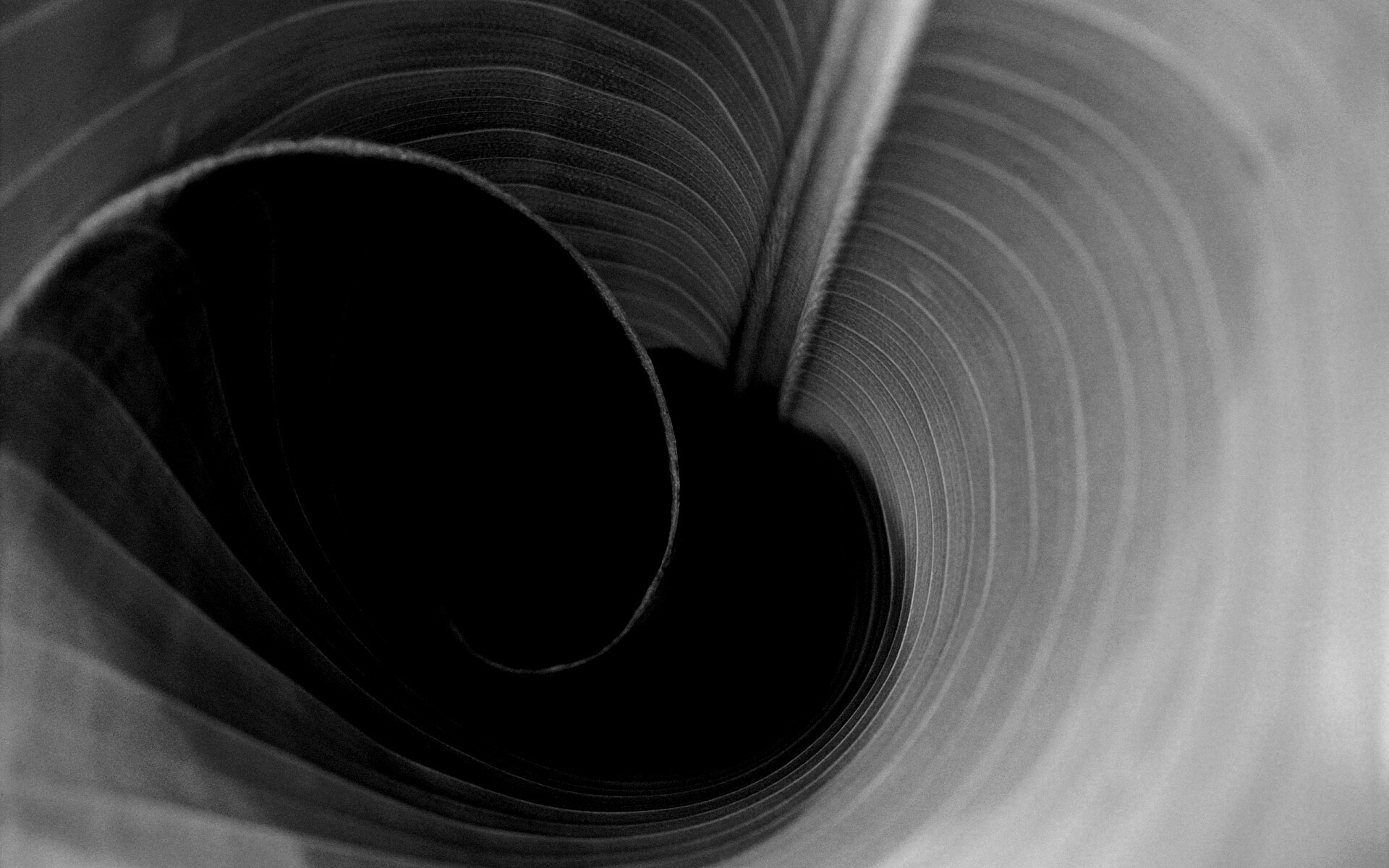 Зеленый лист трубочкой обои