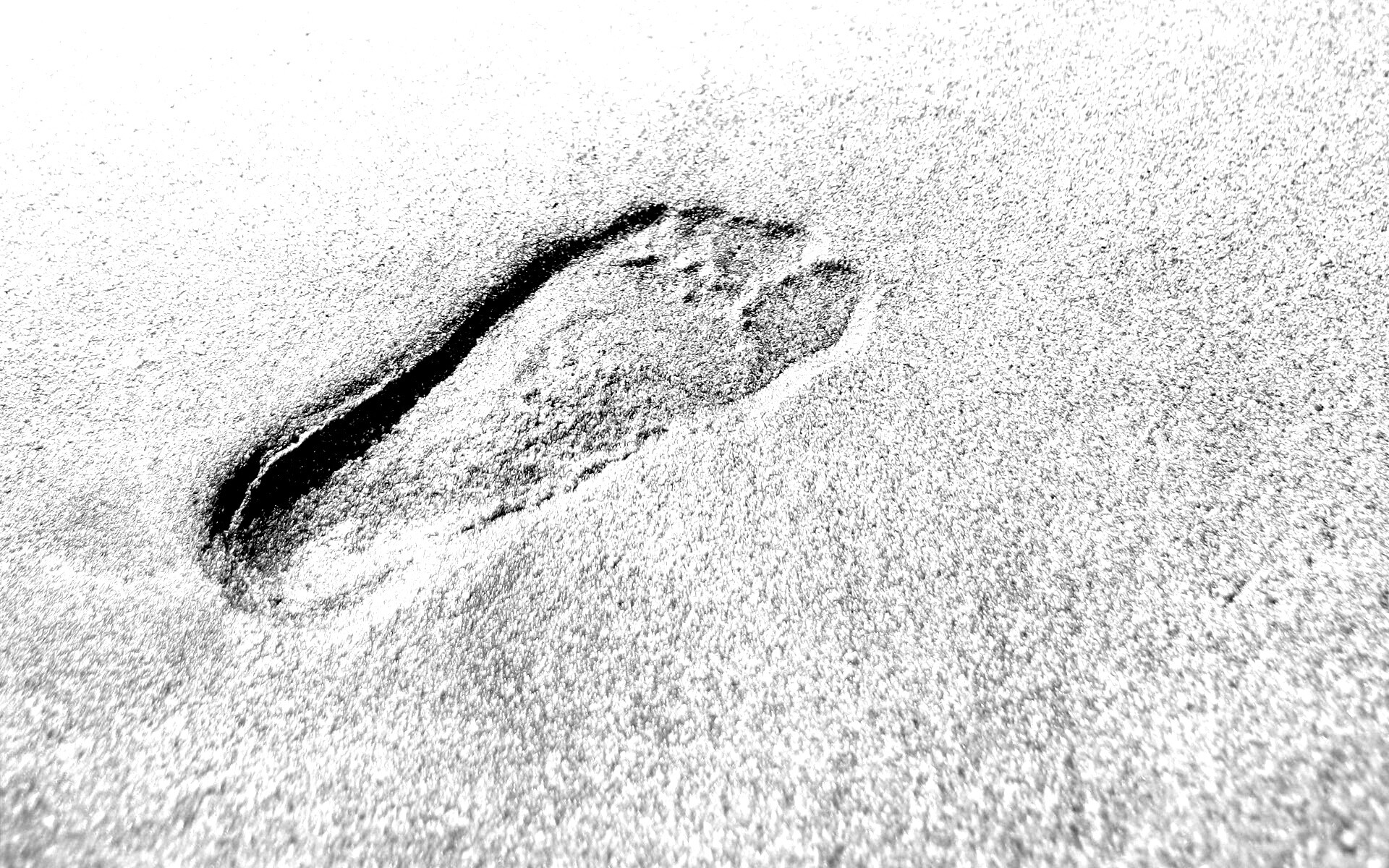 Отпечаток ноги обои