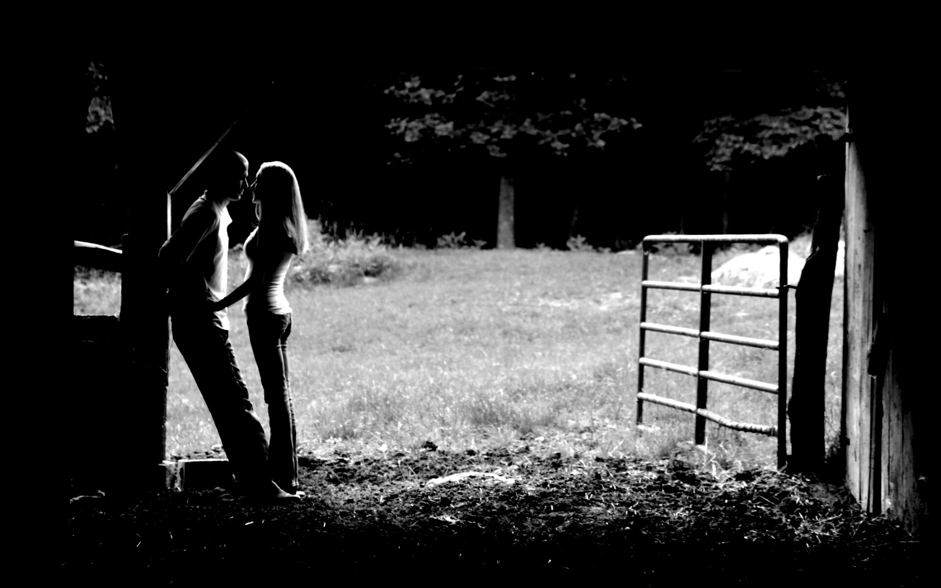 Любовь на природе обои