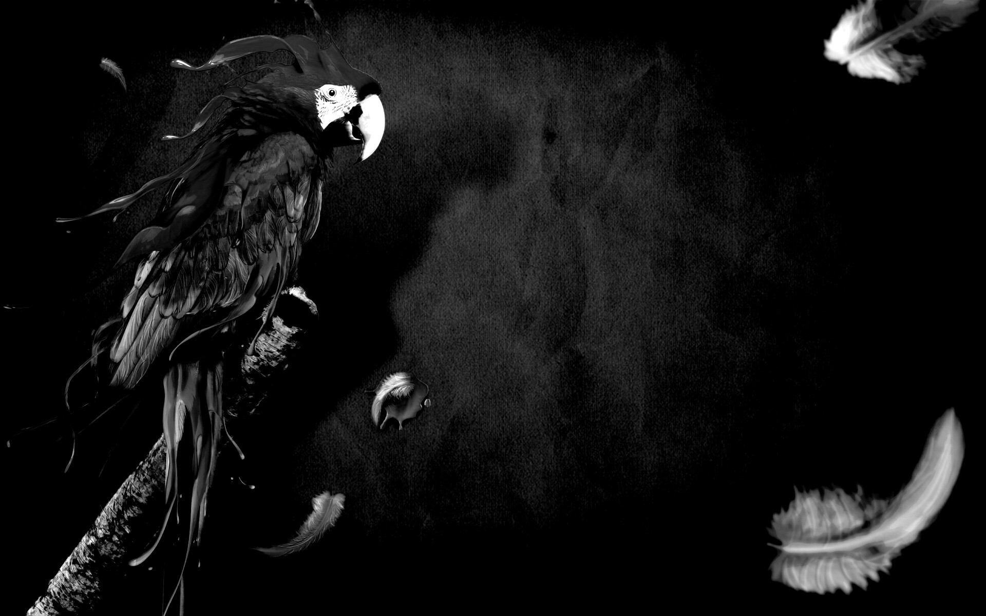 Попугай на ветке обои