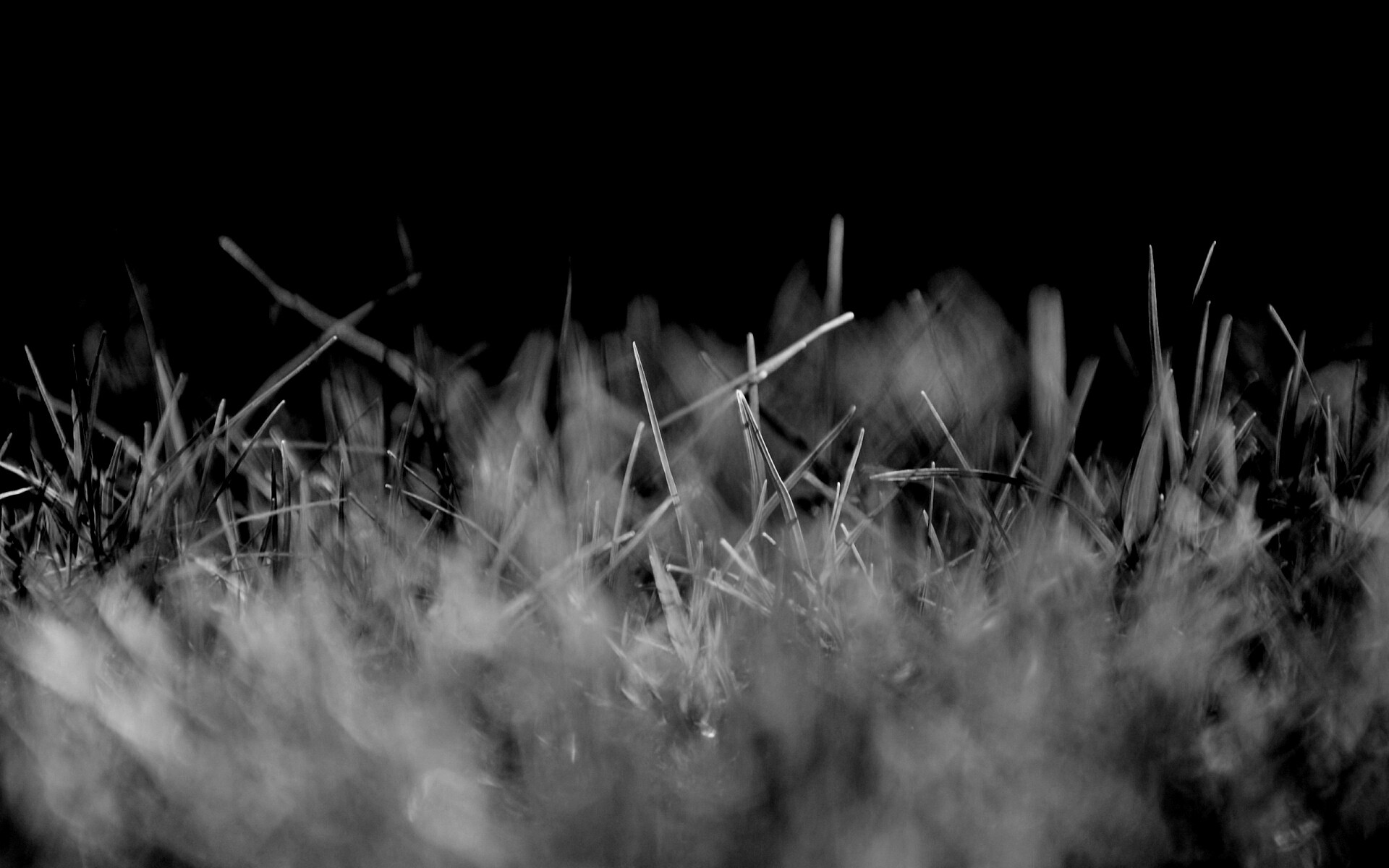 Играя солнечным светом обои