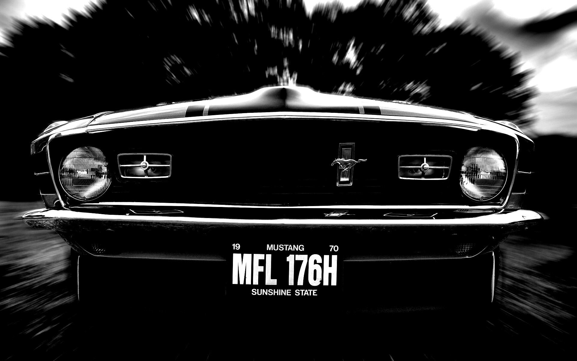 Мустанг обои