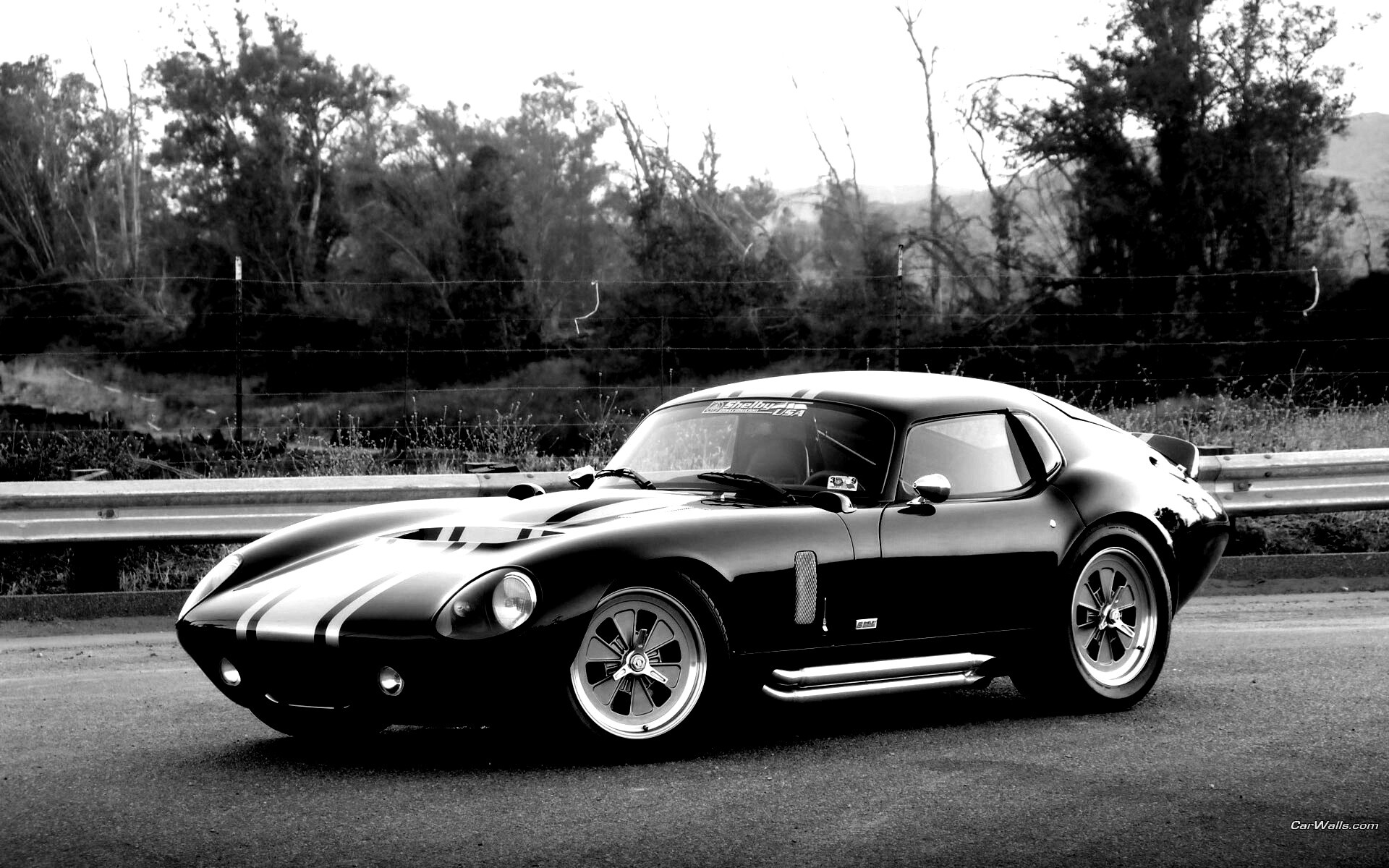 Shelby Daytona обои
