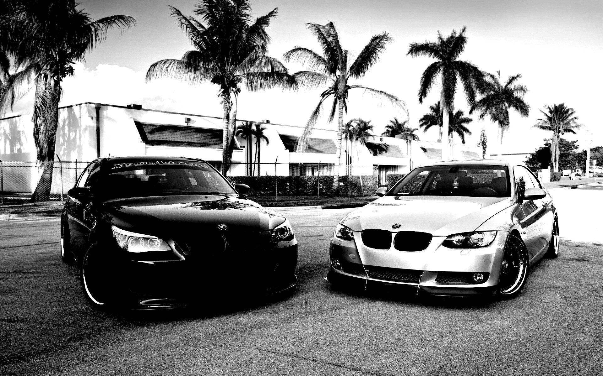 Две БМВ обои