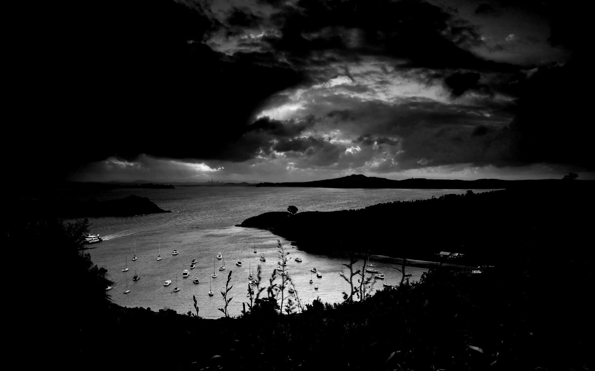 Waiheke Island, New Zealand обои