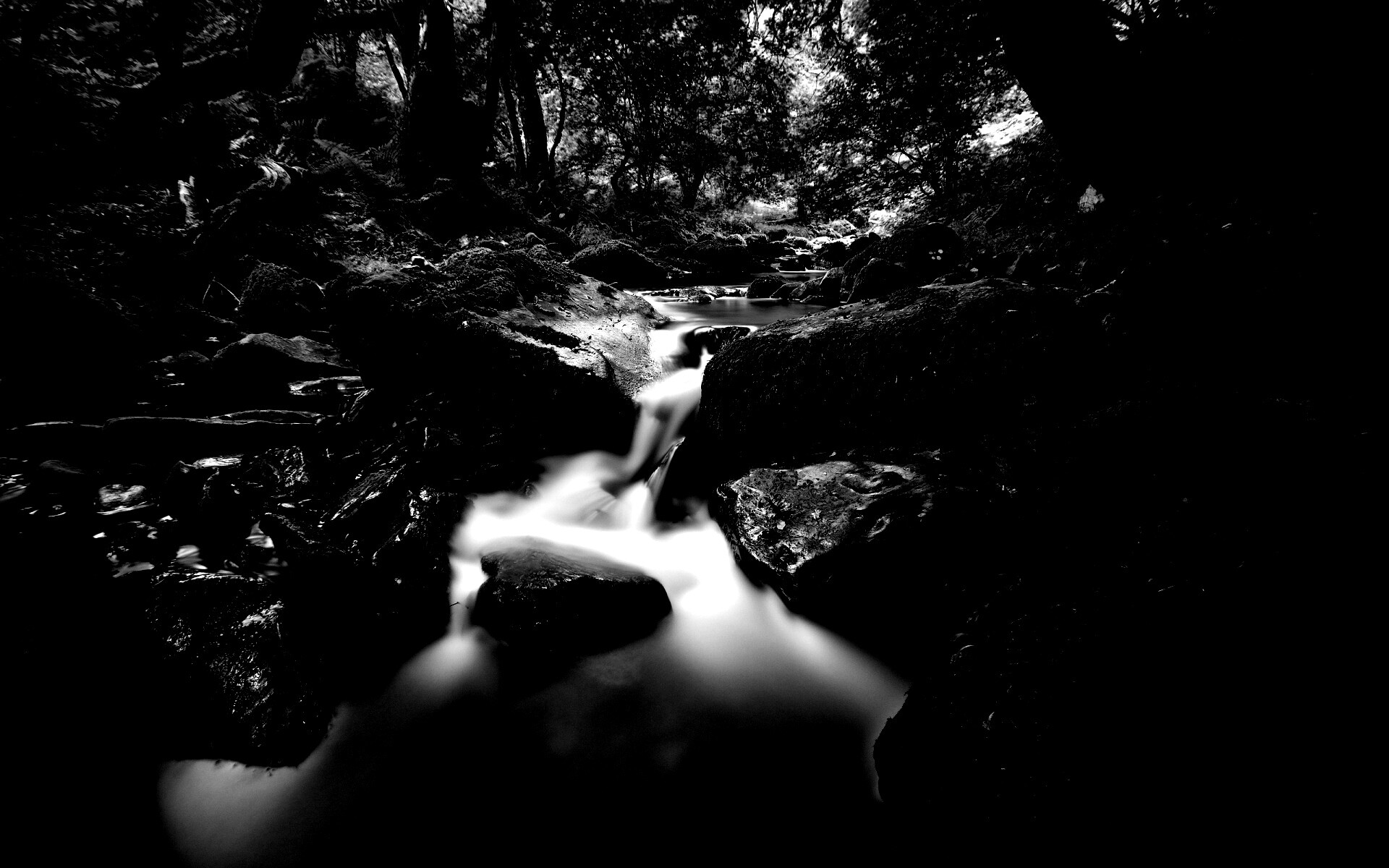 Речной поток в лесу обои