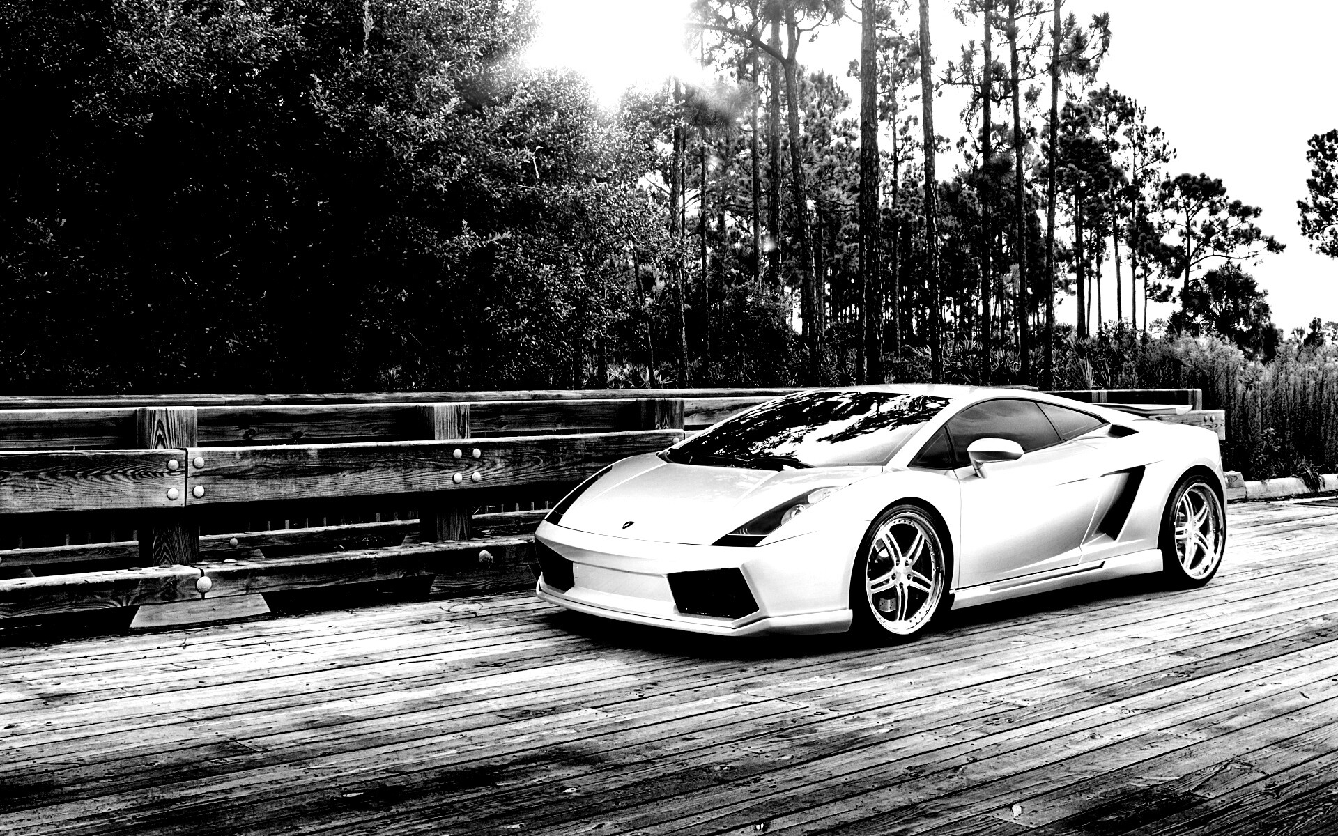 Ламбоджини на мосту в лесу обои