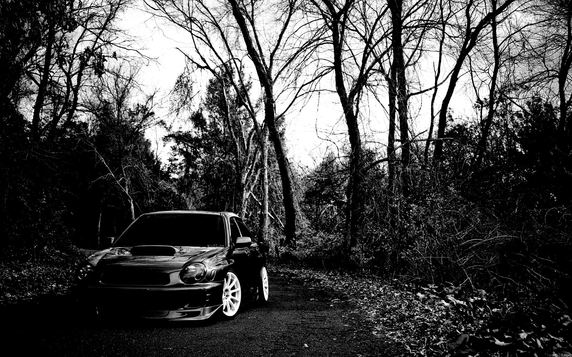 Субару Импреза на лесной дороге обои