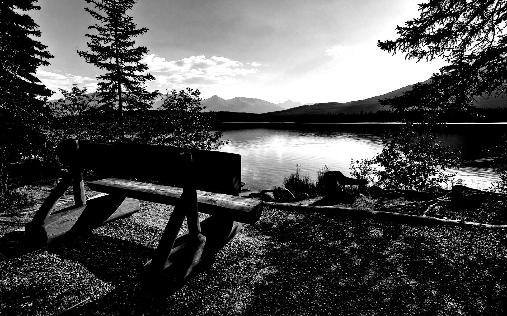 Деревянная скамья на берегу озера обои