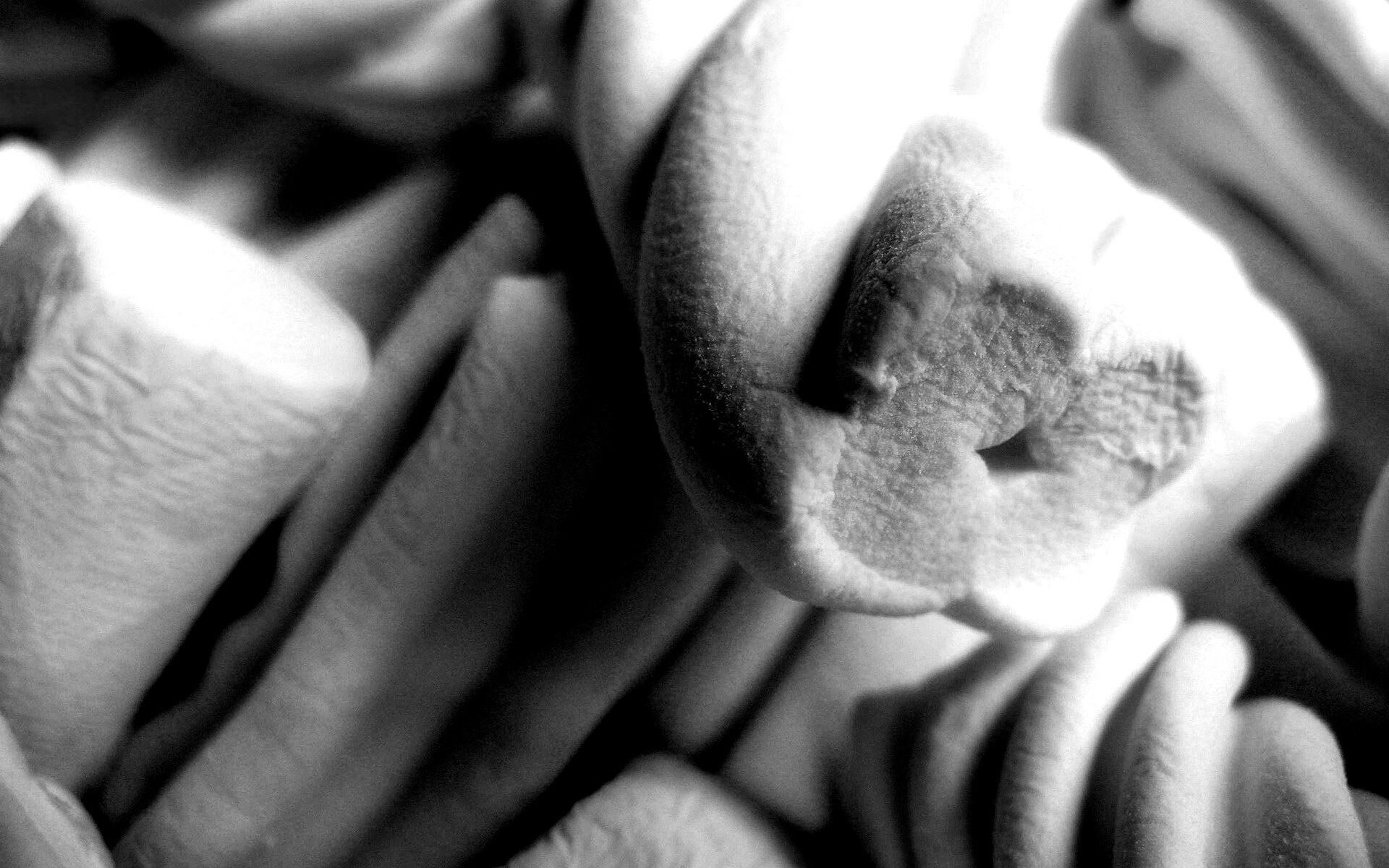 Кручёный зефир обои