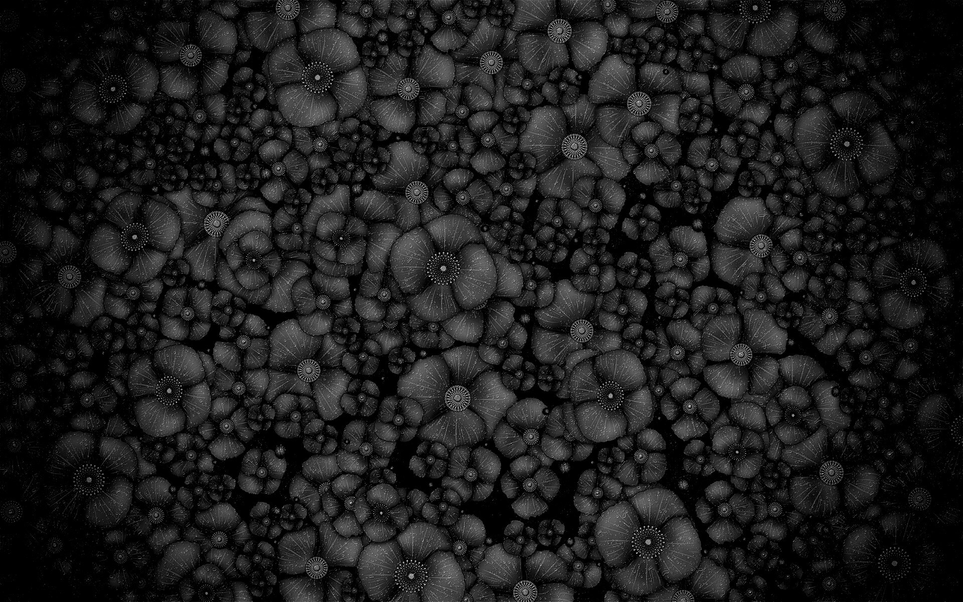 Рисунко с красными цветами обои