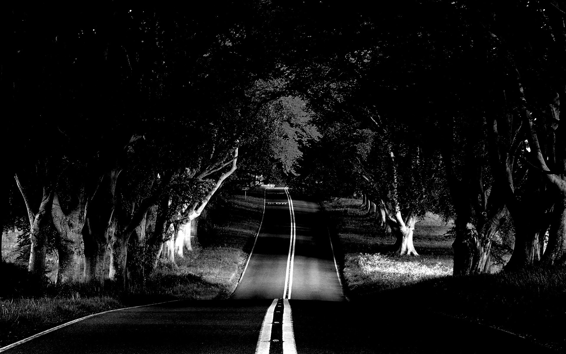 Дорога через лес обои