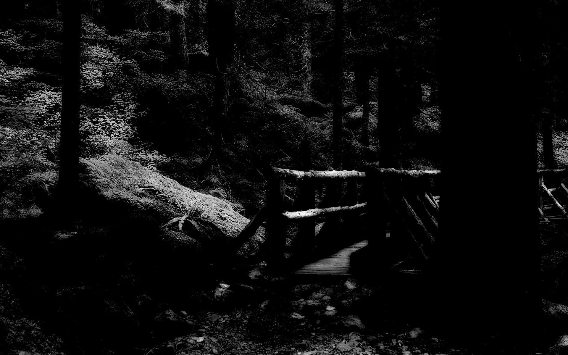 Бревенчатый мост в лесу обои