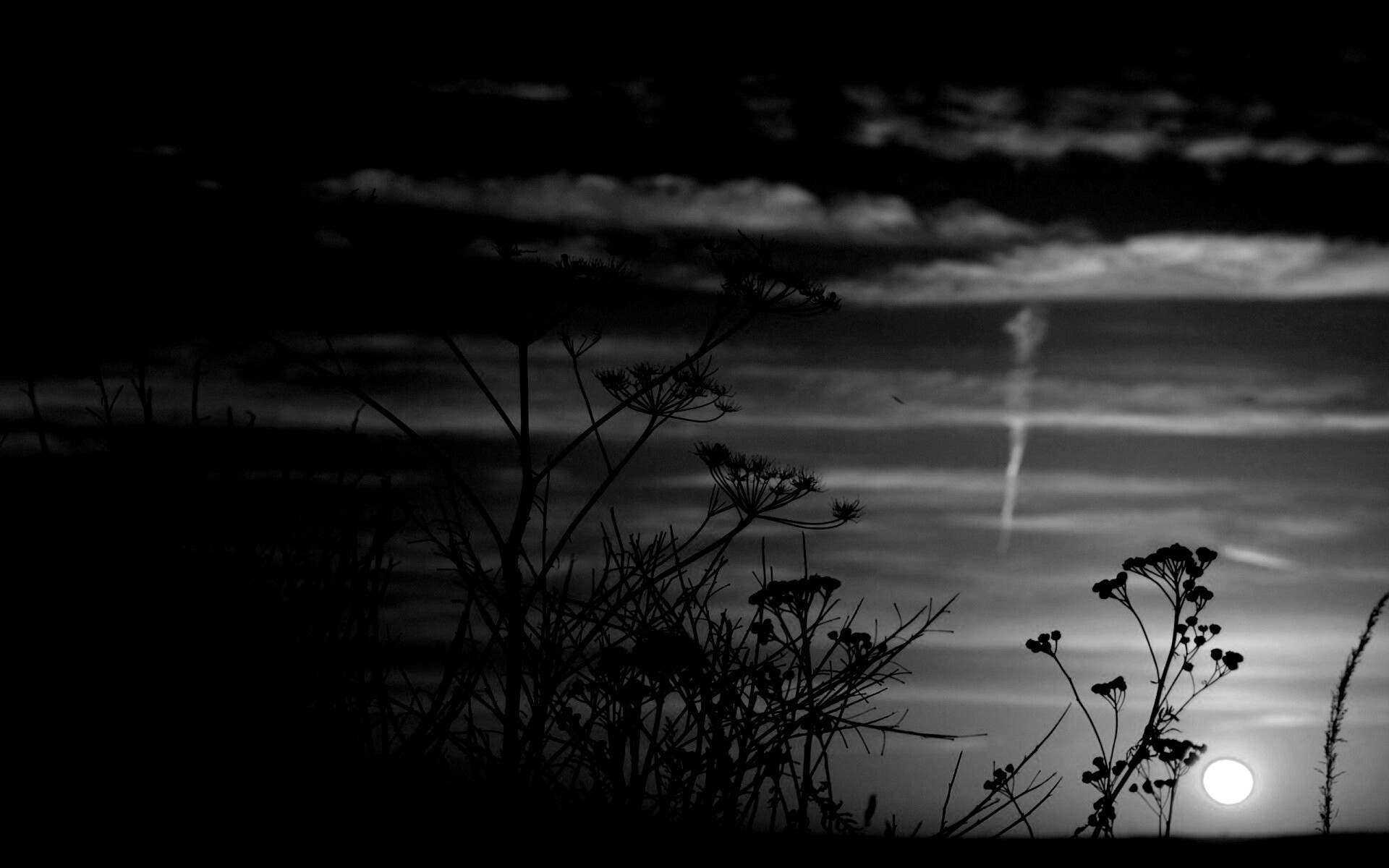 Степной закат обои