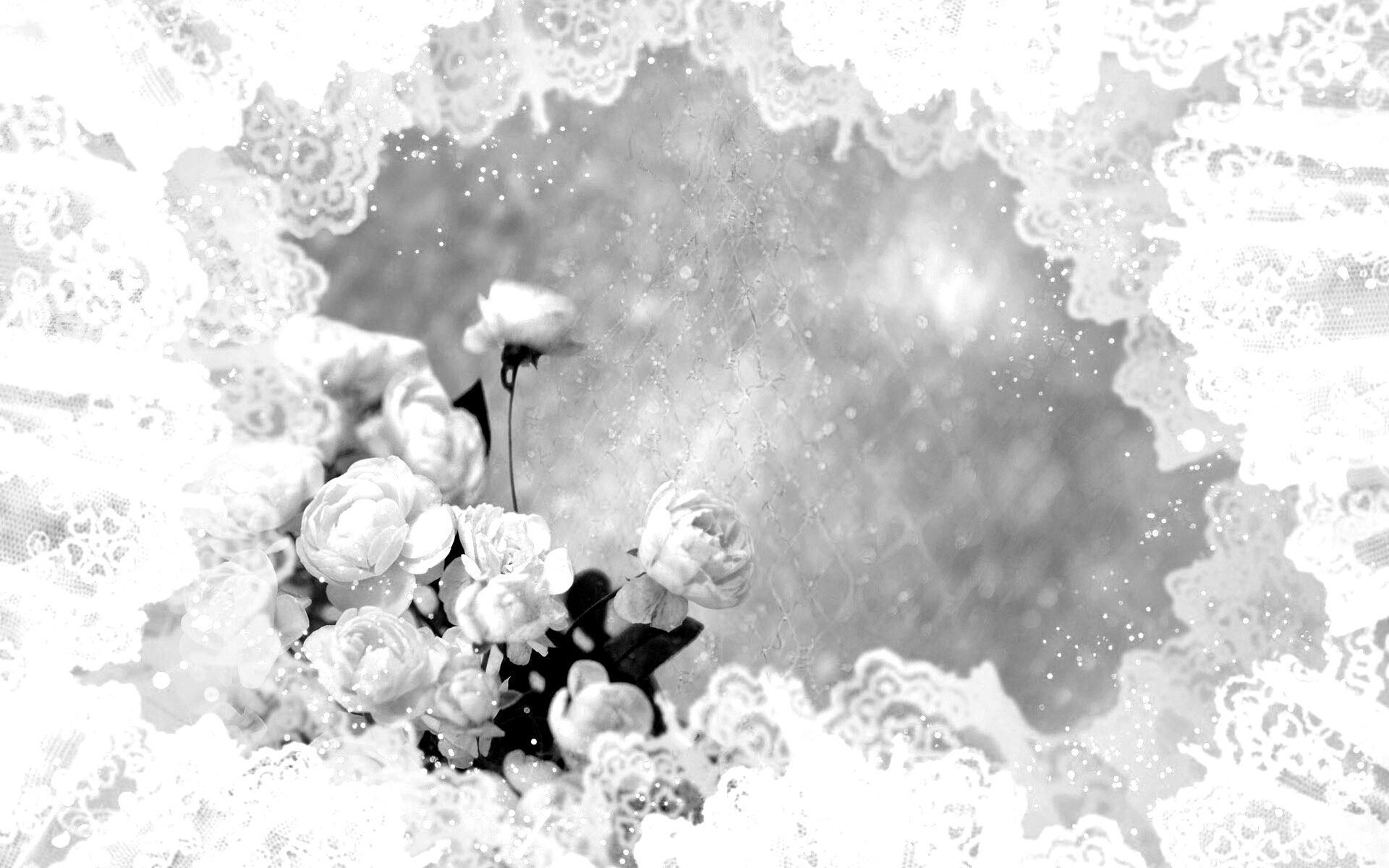 Бежевые кружева и розы обои