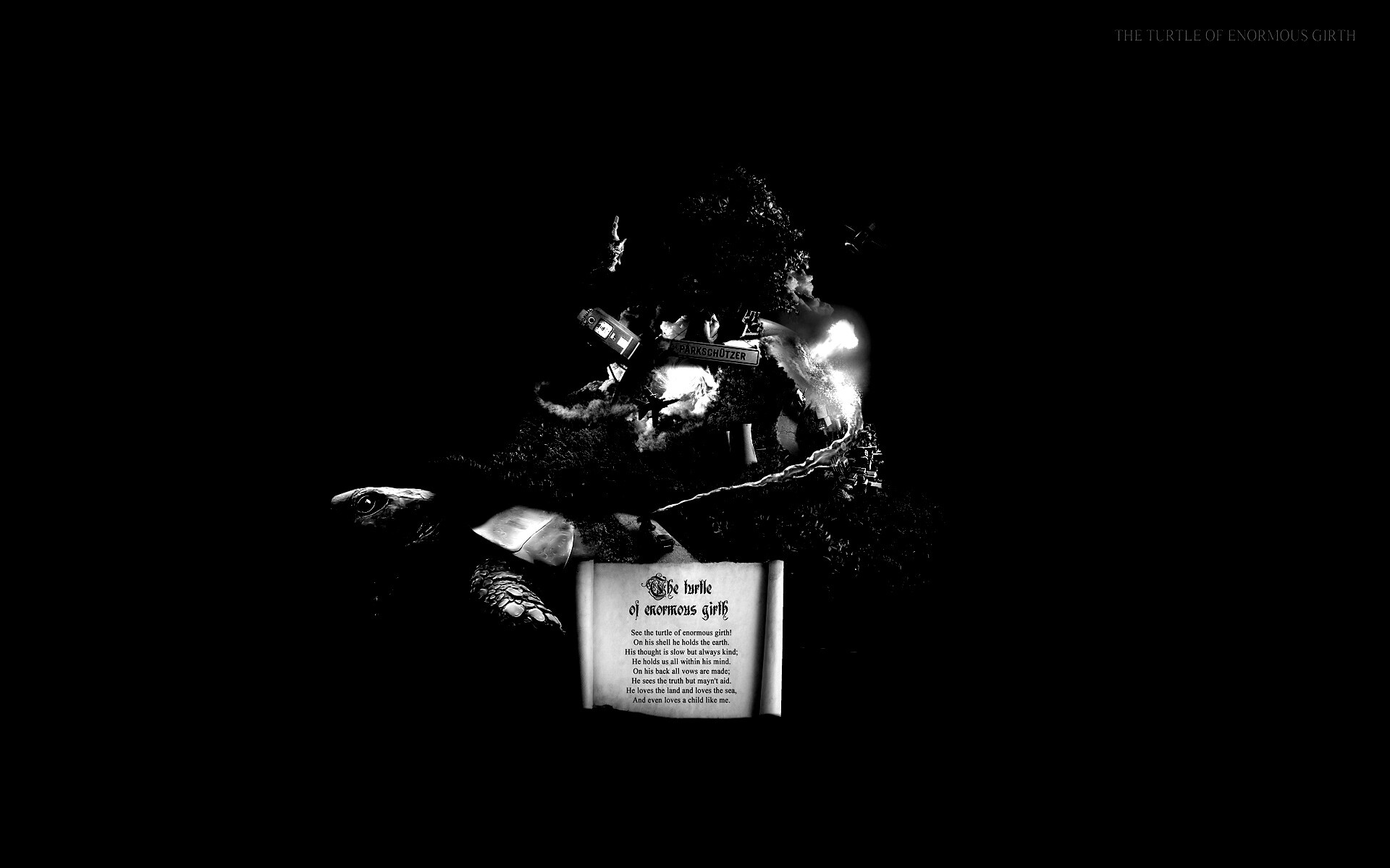 Огромная в обхвате черепаха обои