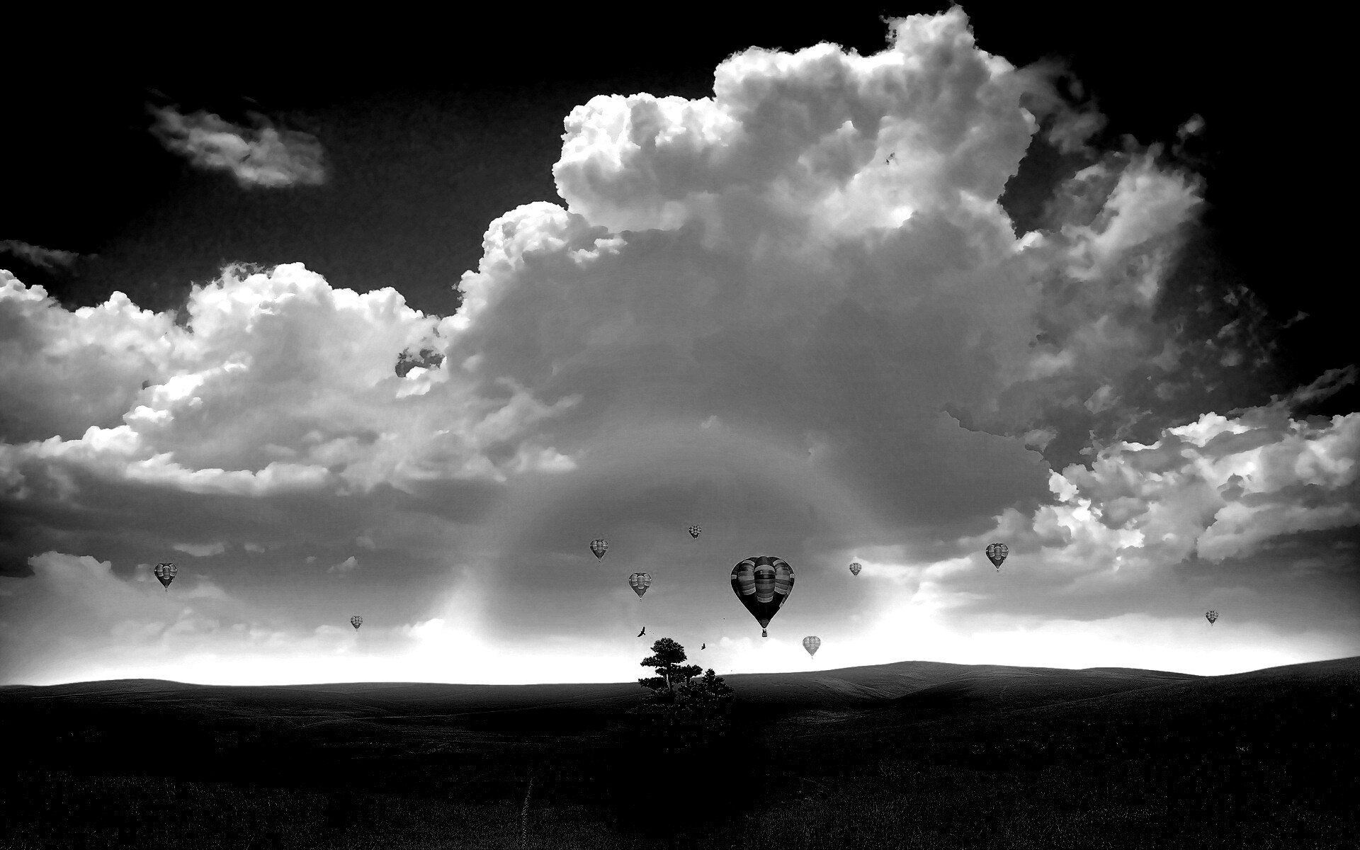 Мечты о полёте обои