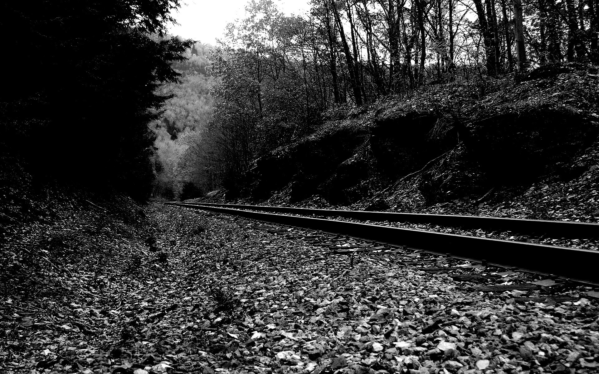 Железная дорога в скалистой местности обои