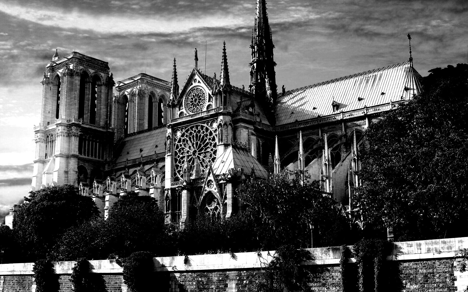 Собор парижской Богоматери обои