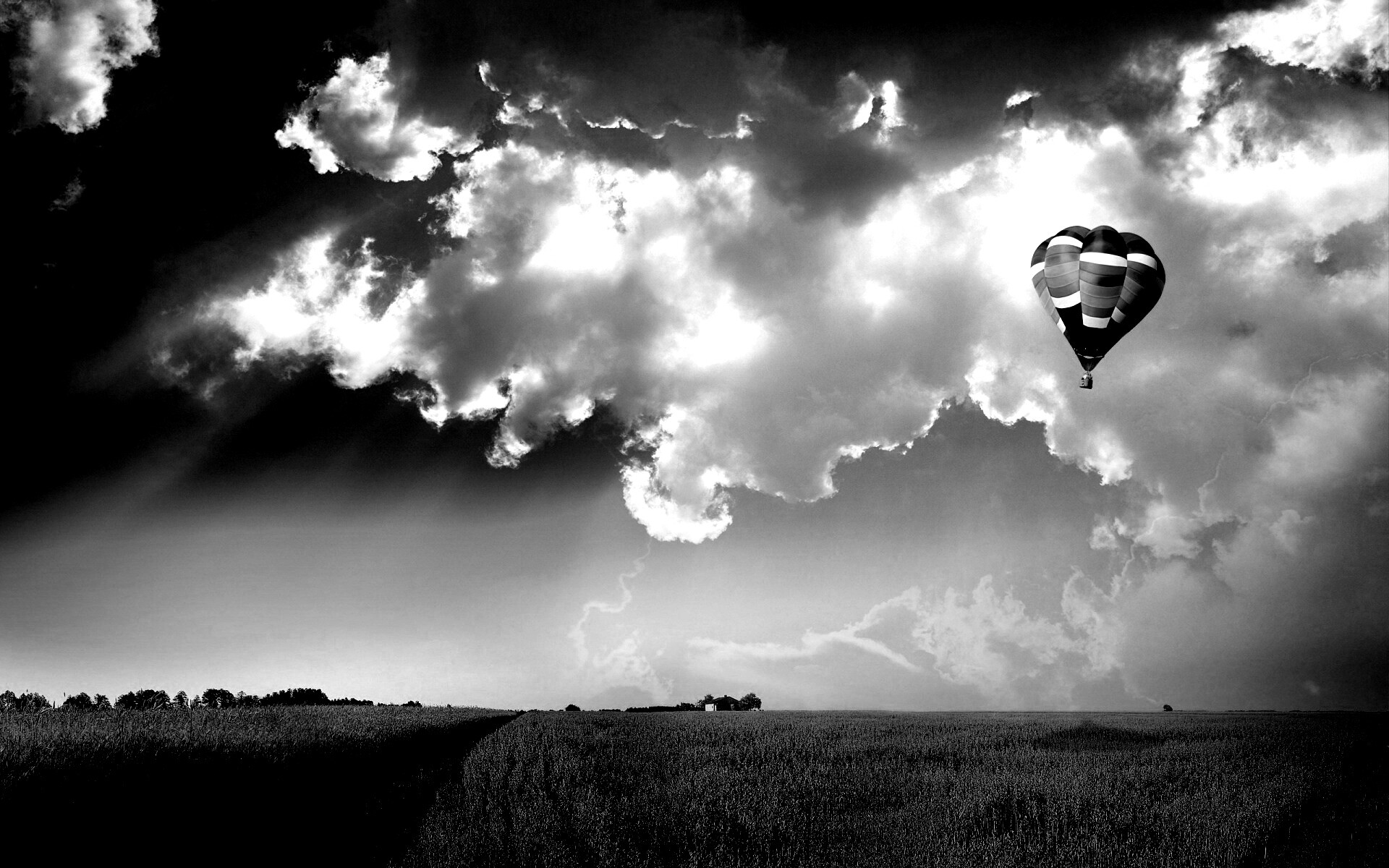 Воздушный шар над зеленым лугом обои