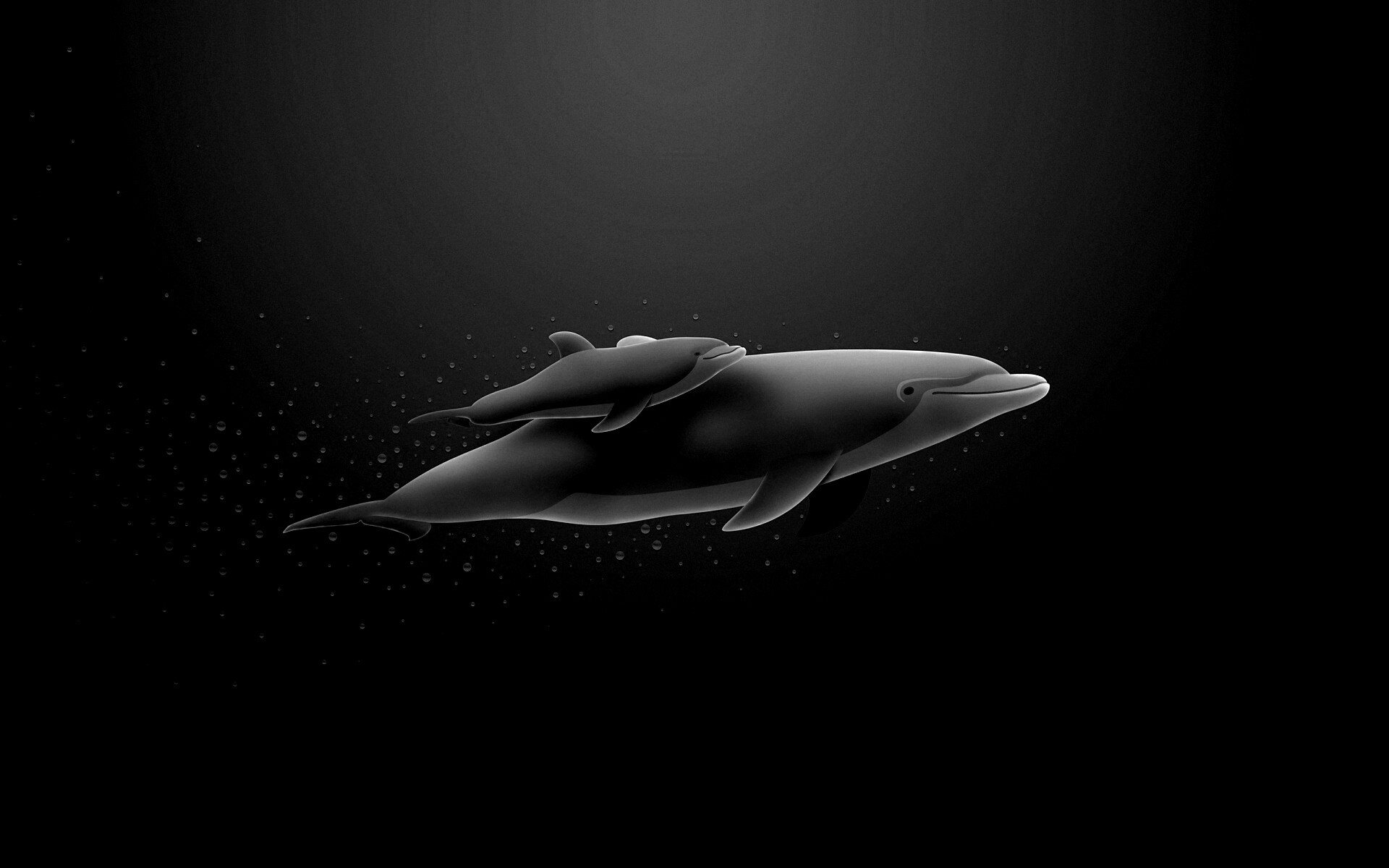 Дельфин и дельфиненок обои