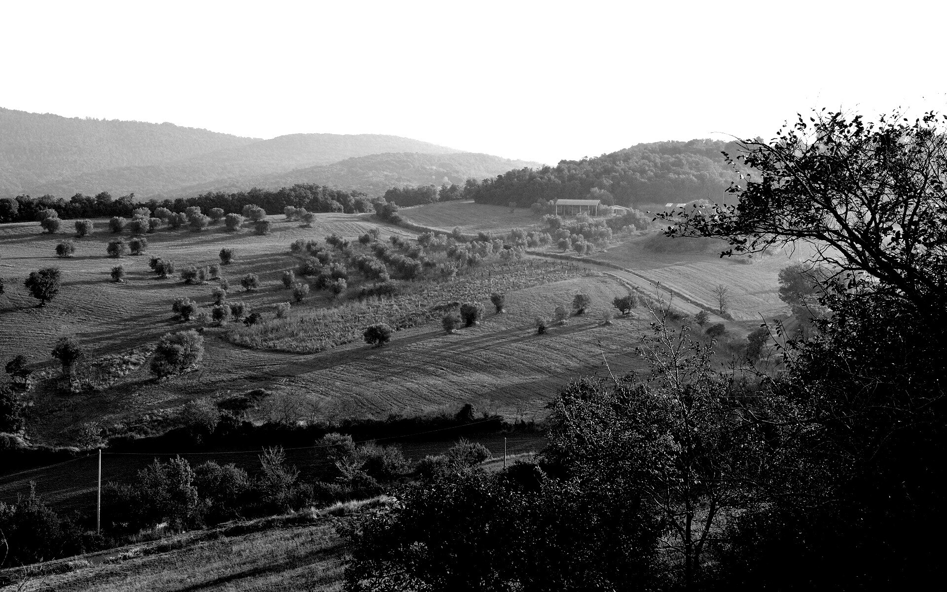 Ферма в долине обои