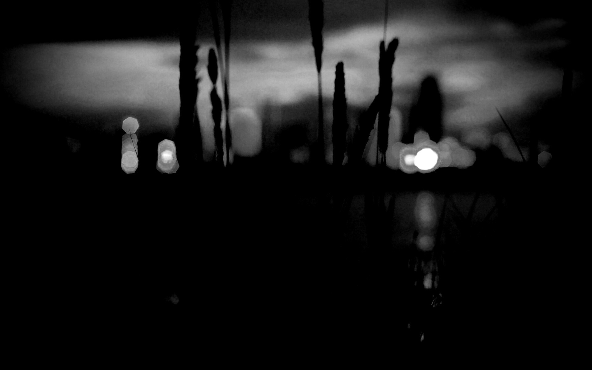 Камыш на фоне вечерних огней обои