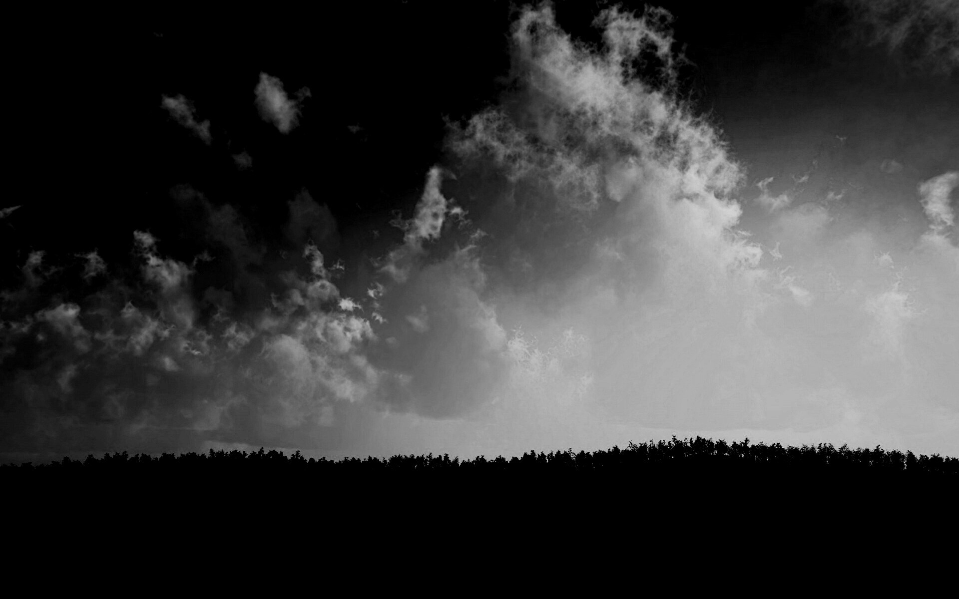 Закат над лесом обои