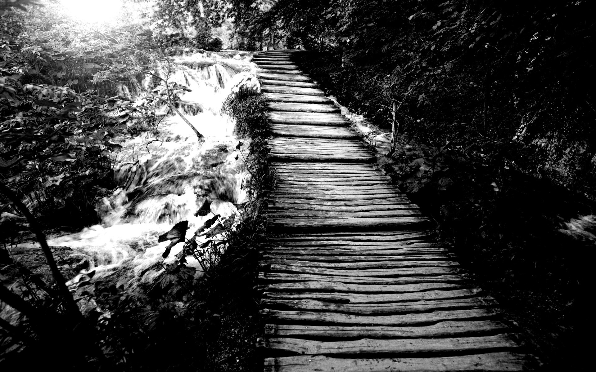 Деревянная дорожка над ручьем обои