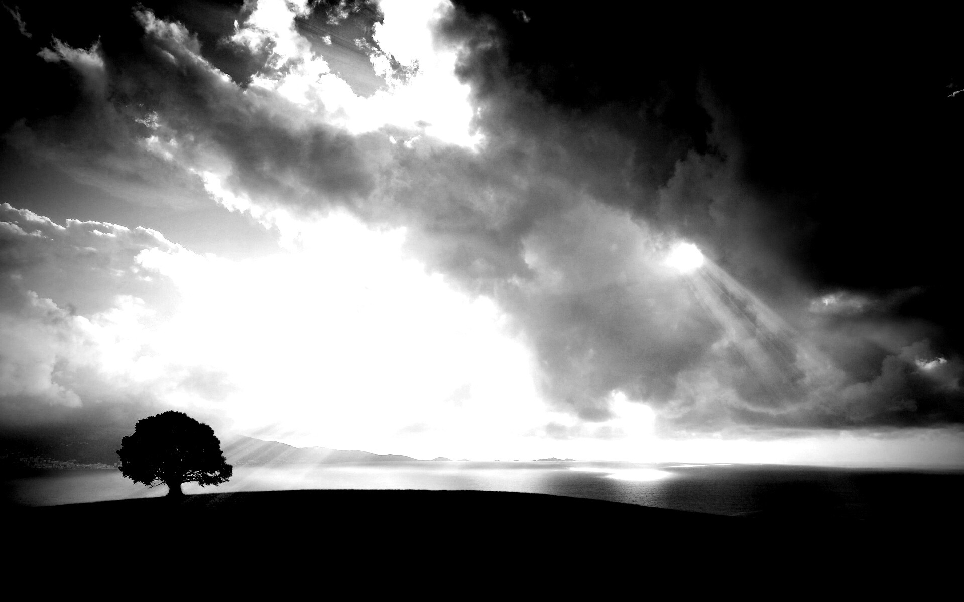 Холм и дерево обои