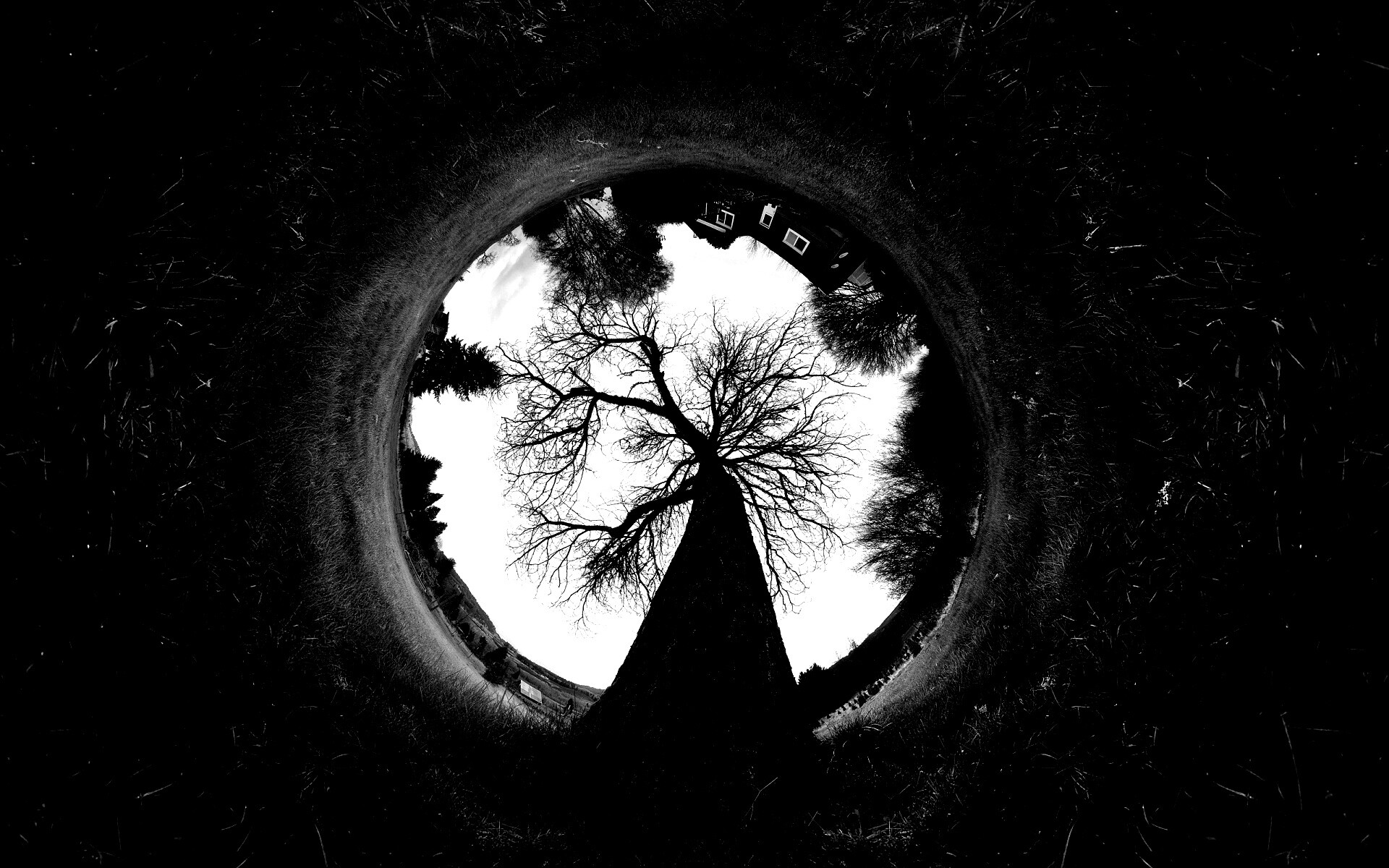 Другой взгляд на мир обои