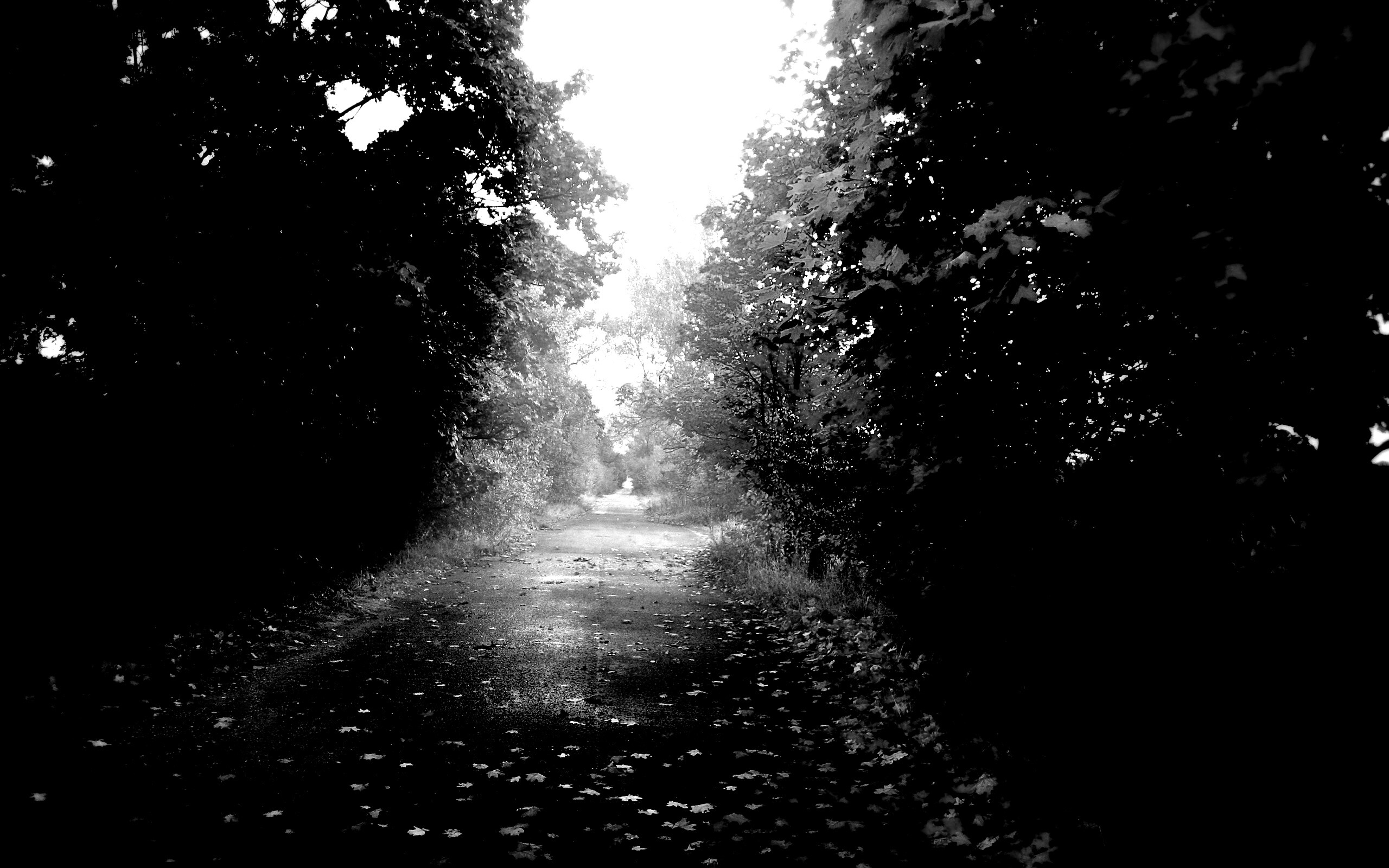 Желтая дорога обои