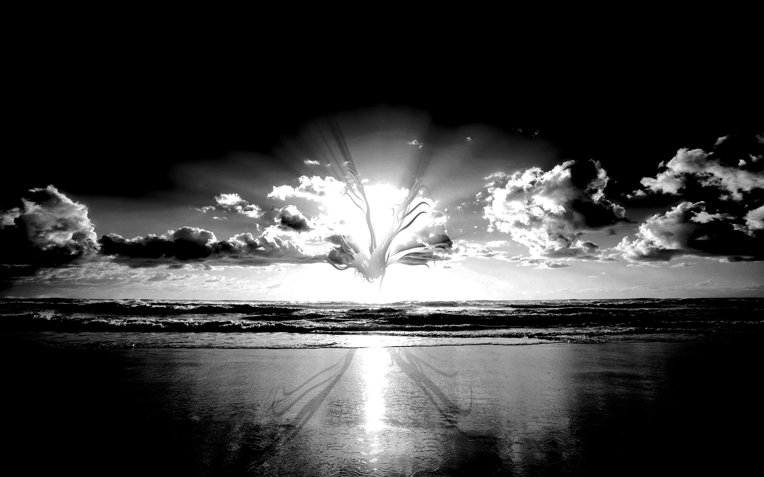 Абстрактные перья на фоне заката обои