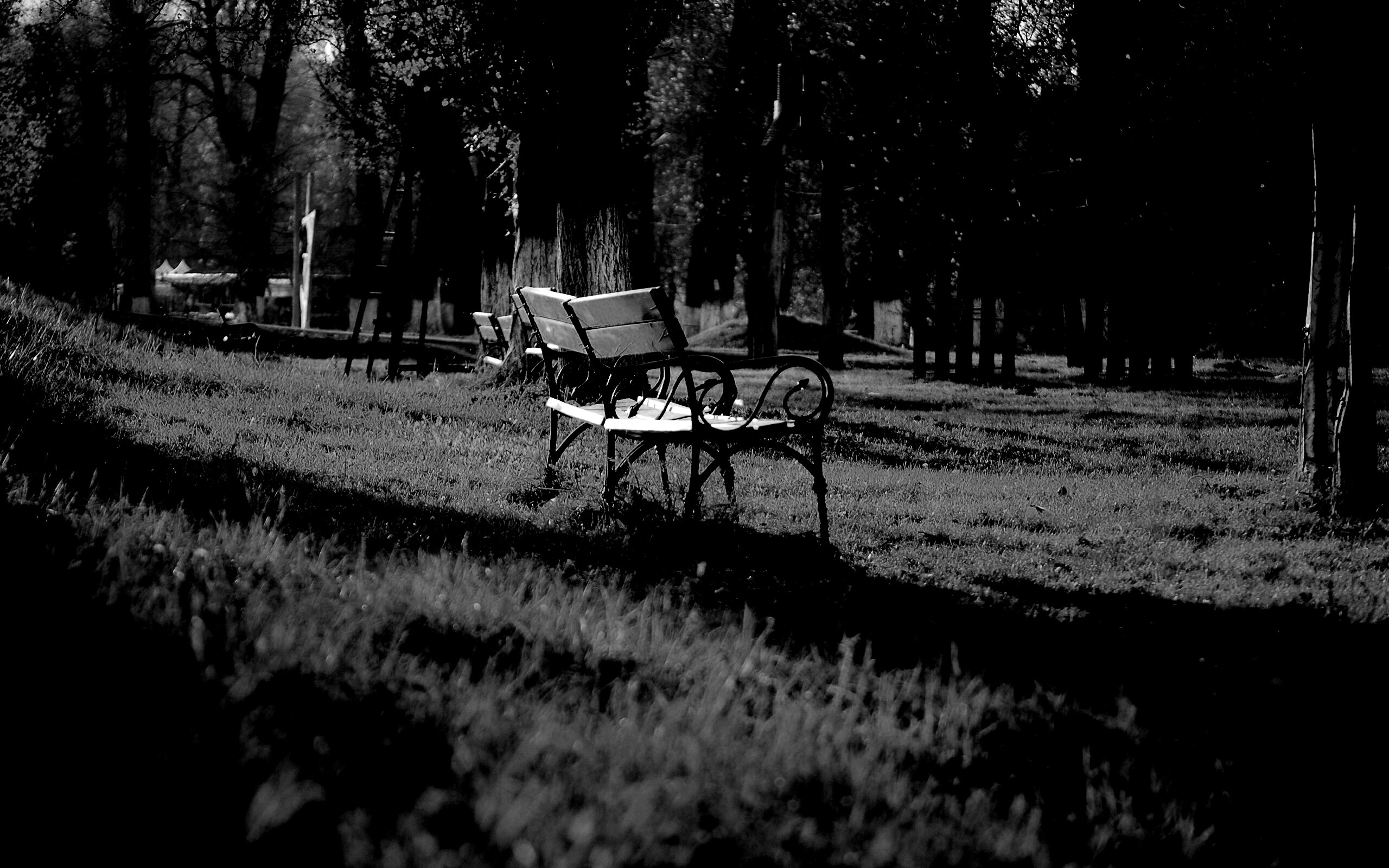 Скаймейка в осеннем парке обои