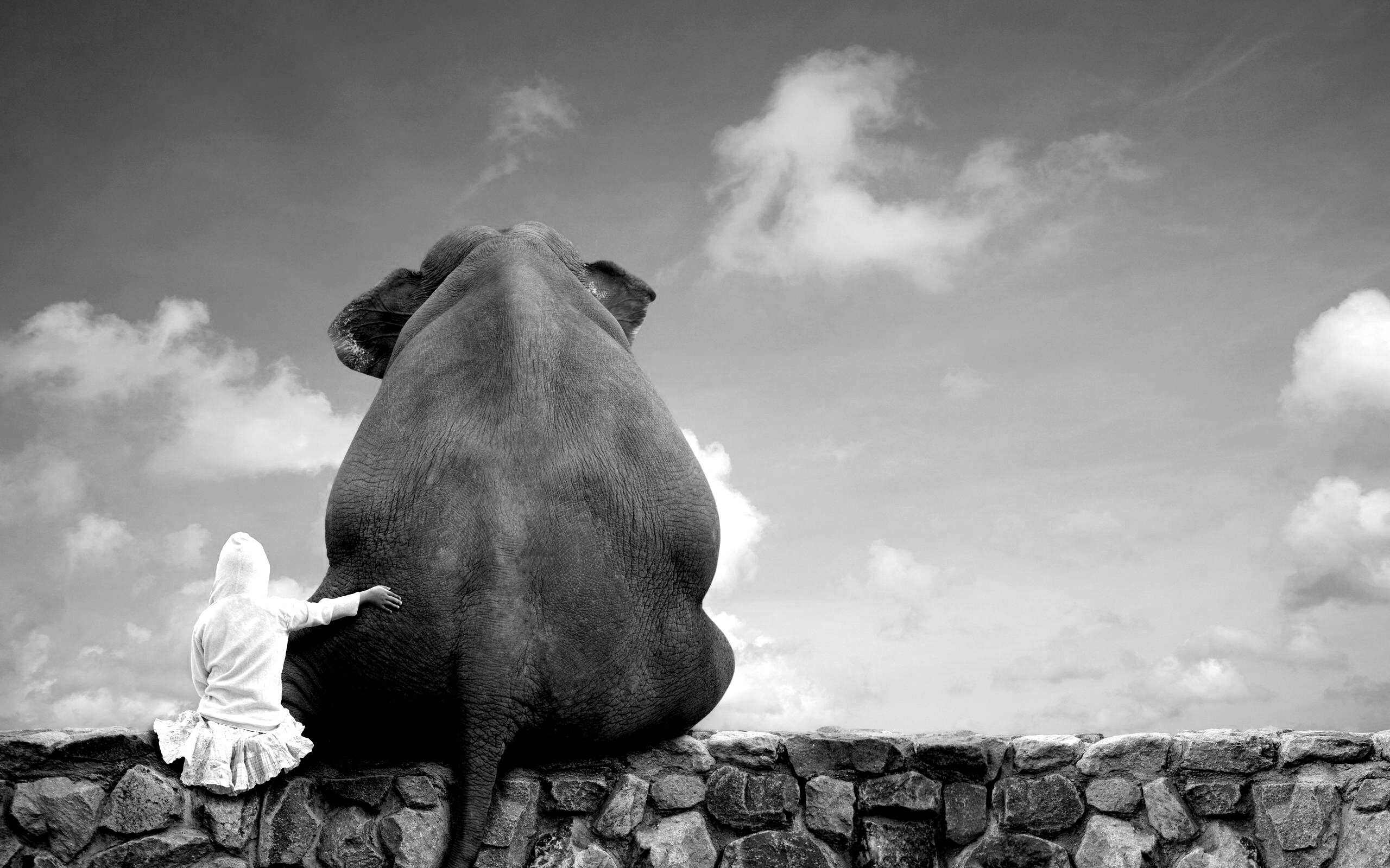 Девочка и слон обои