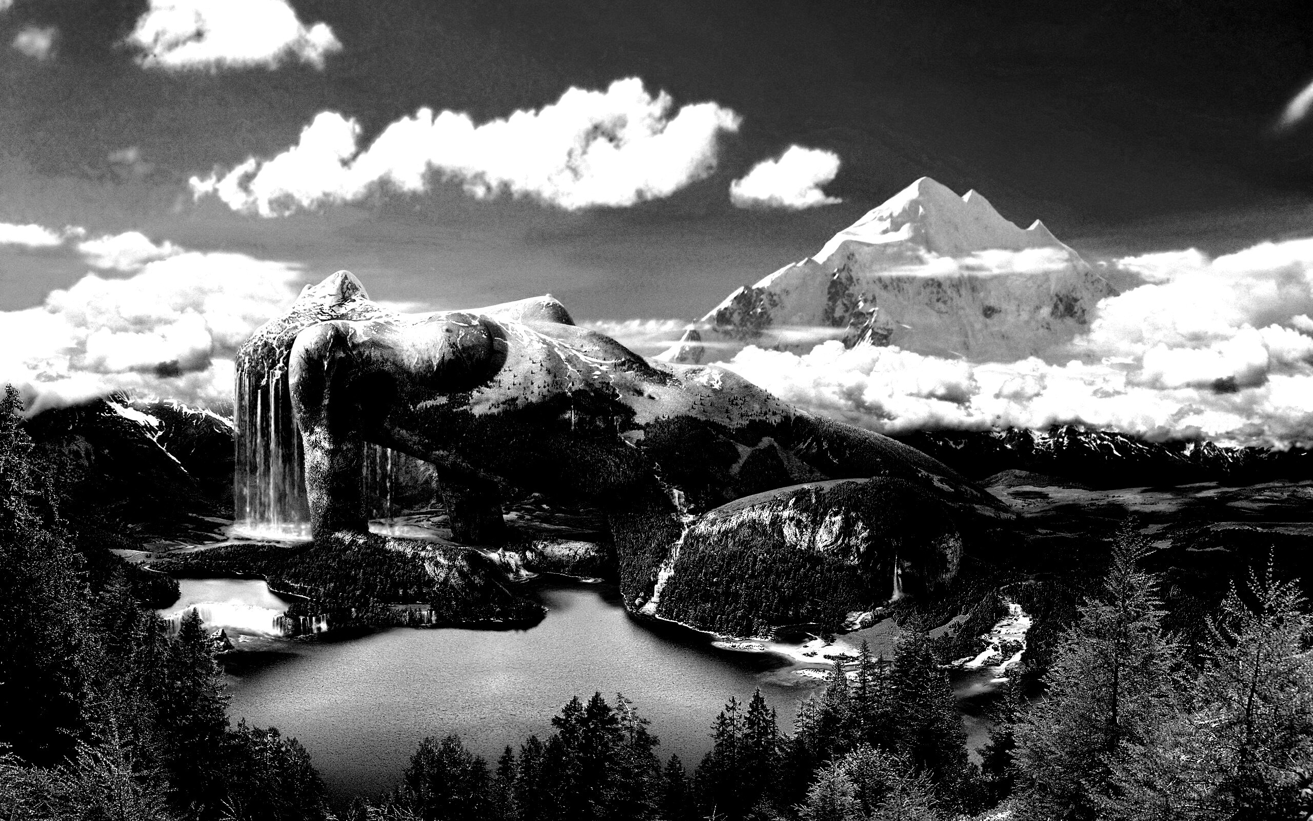 Природа обои