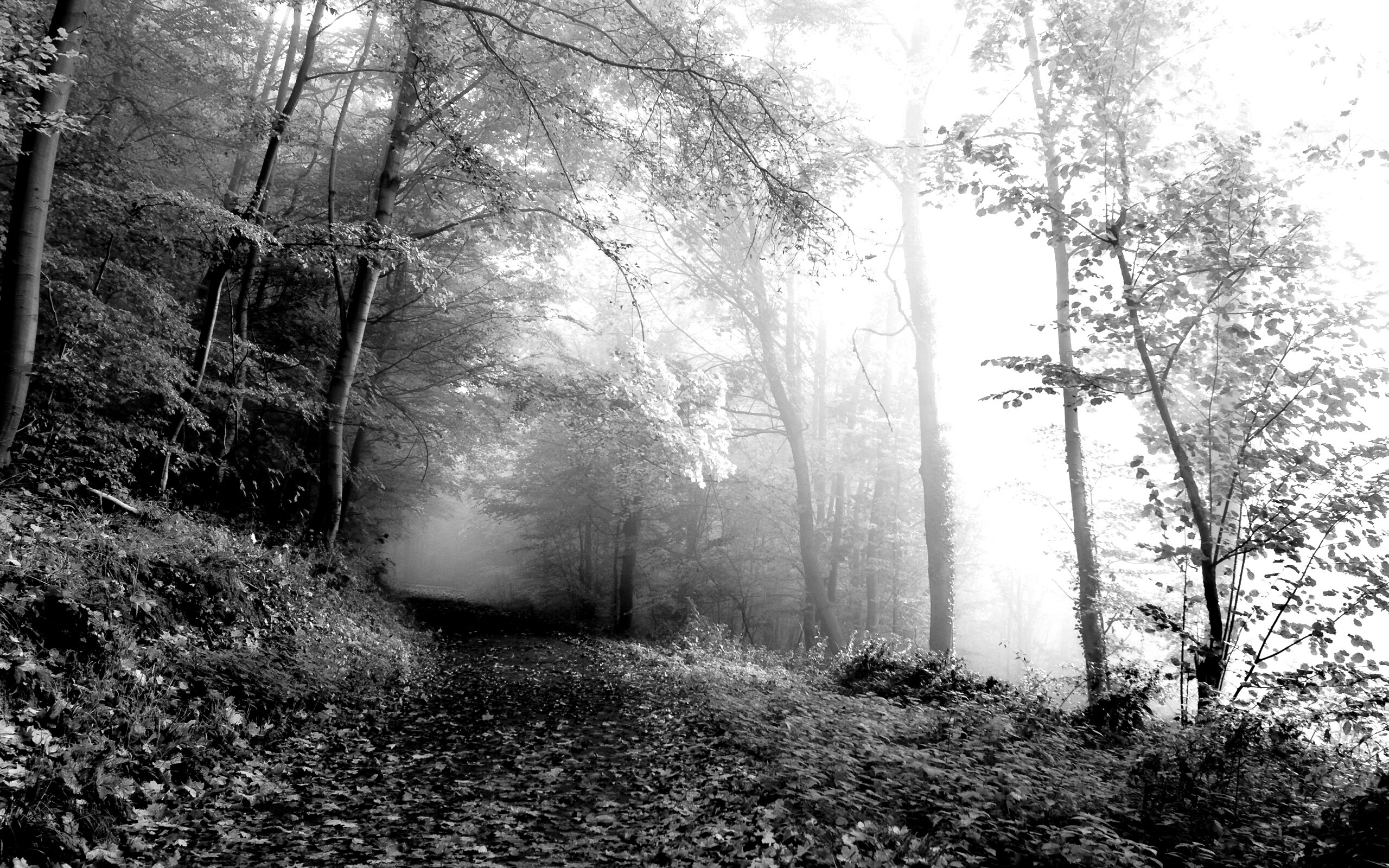 Осенний мистический пейзаж обои