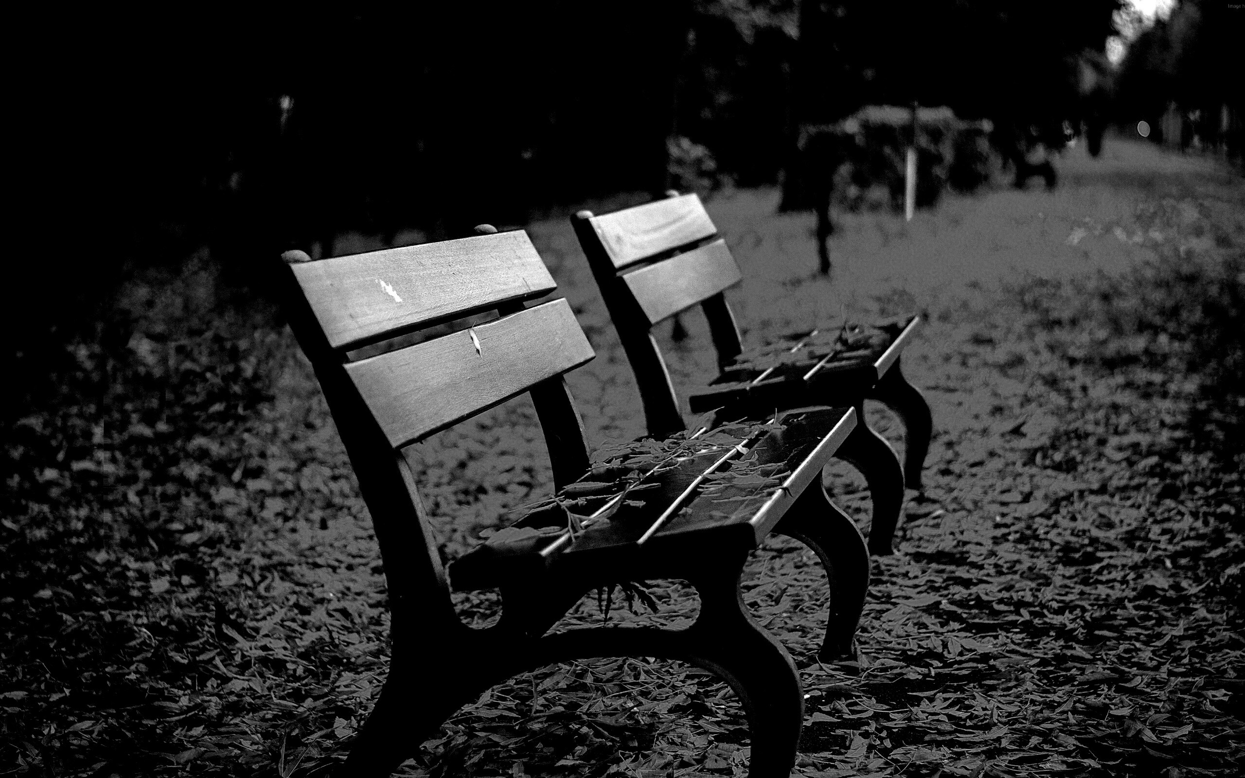 Лавочки в осеннем парке обои