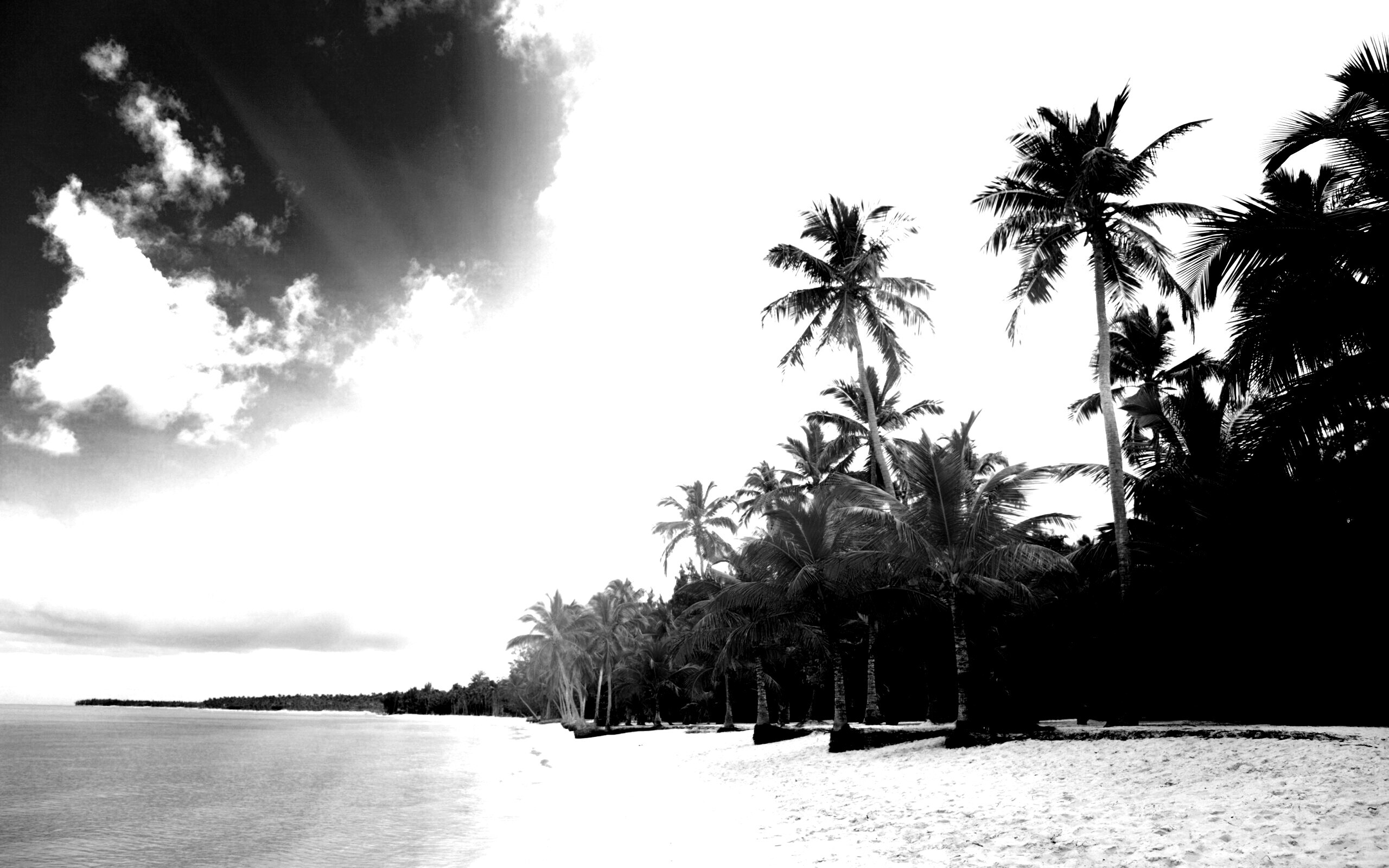 Тропическое побережье обои