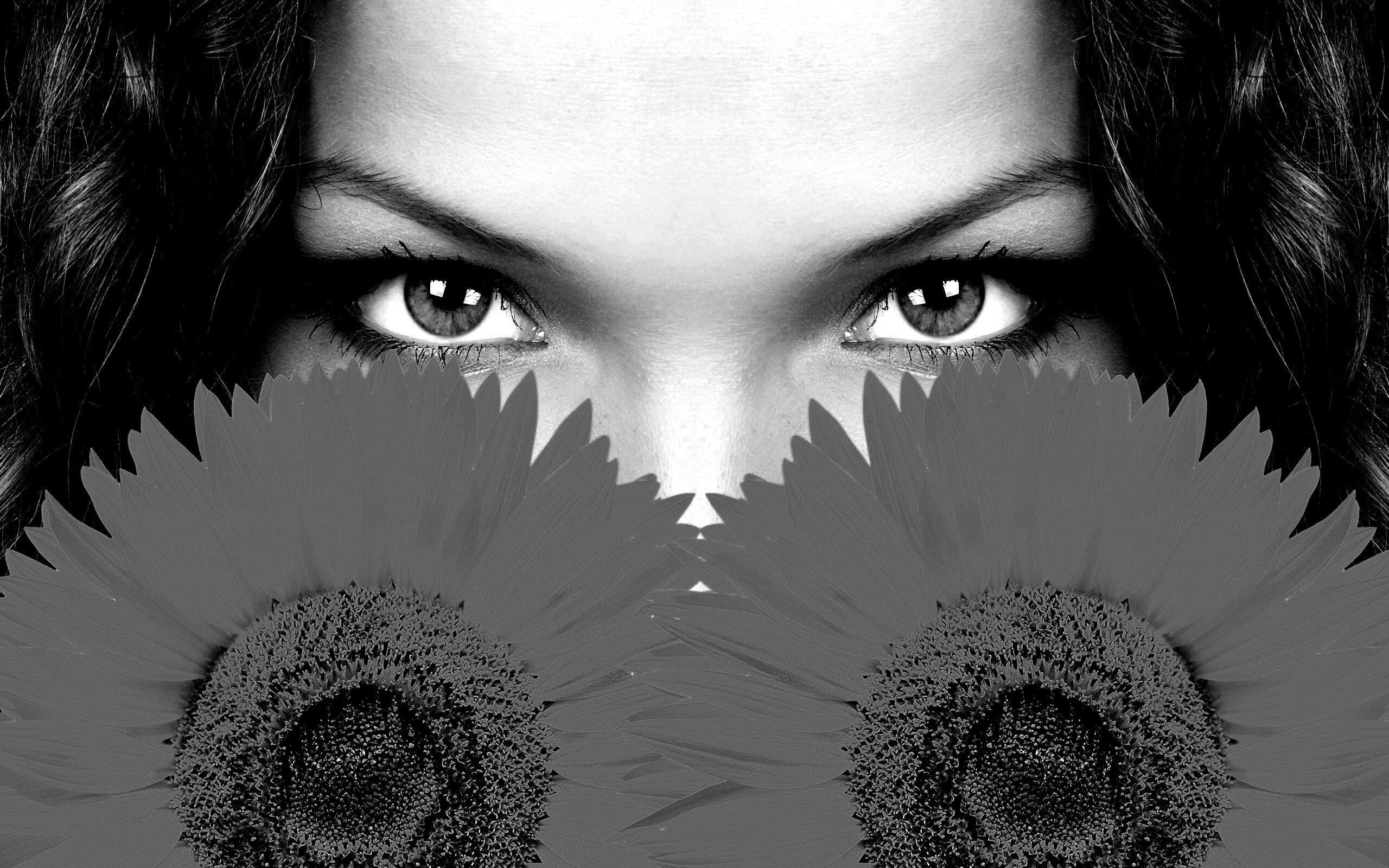 Девушка с желтыми ромашками обои