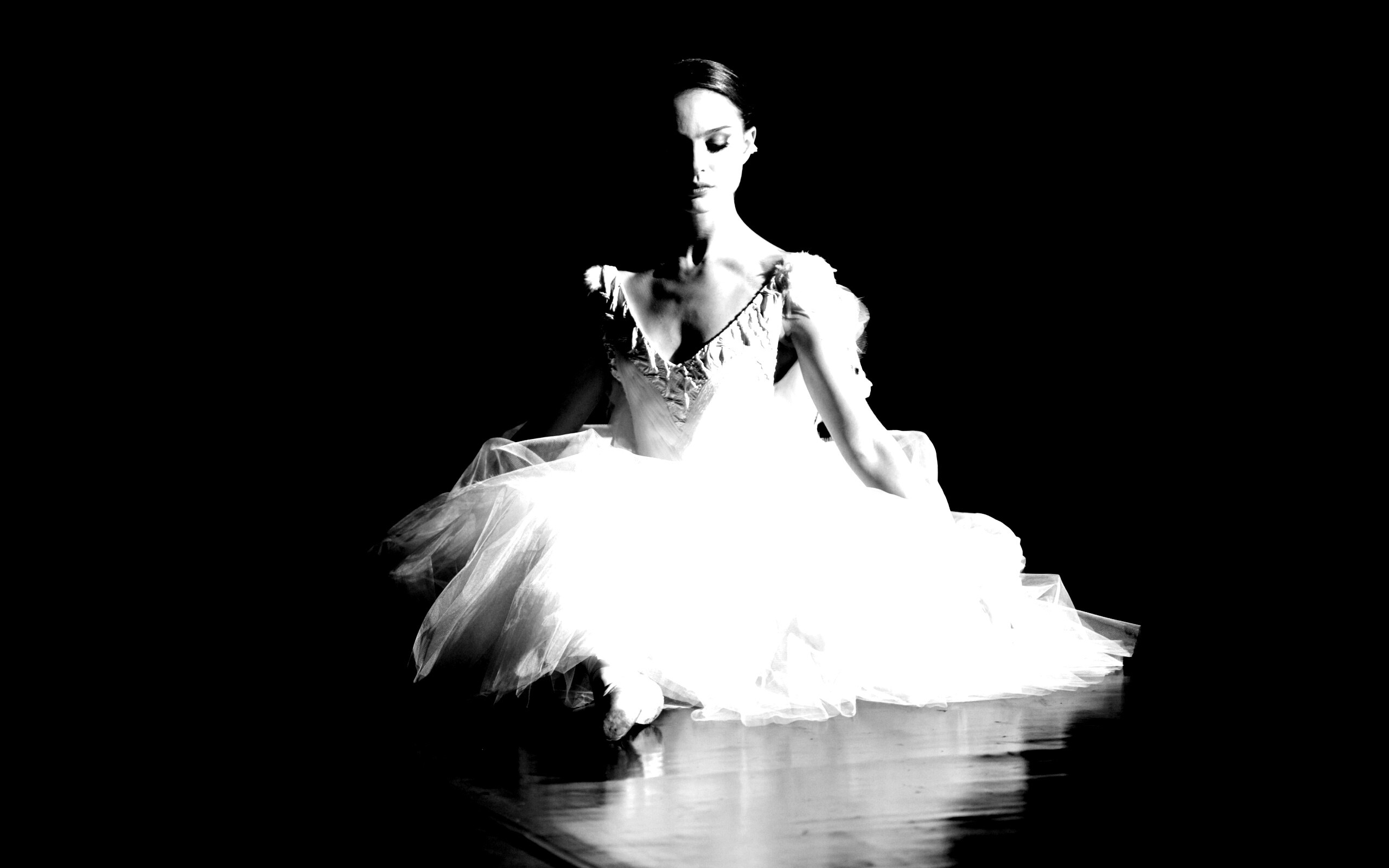 Черный лебедь обои