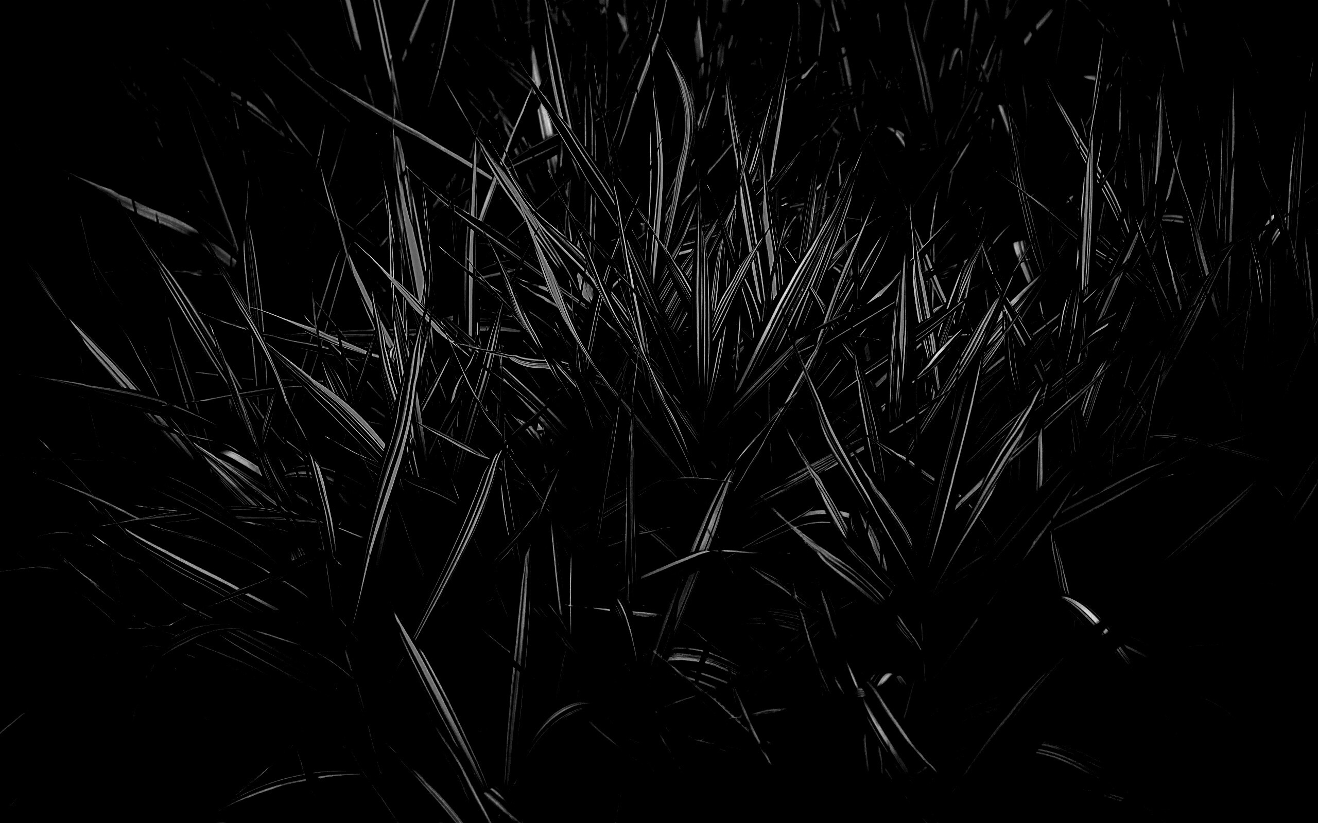 Дикая трава обои