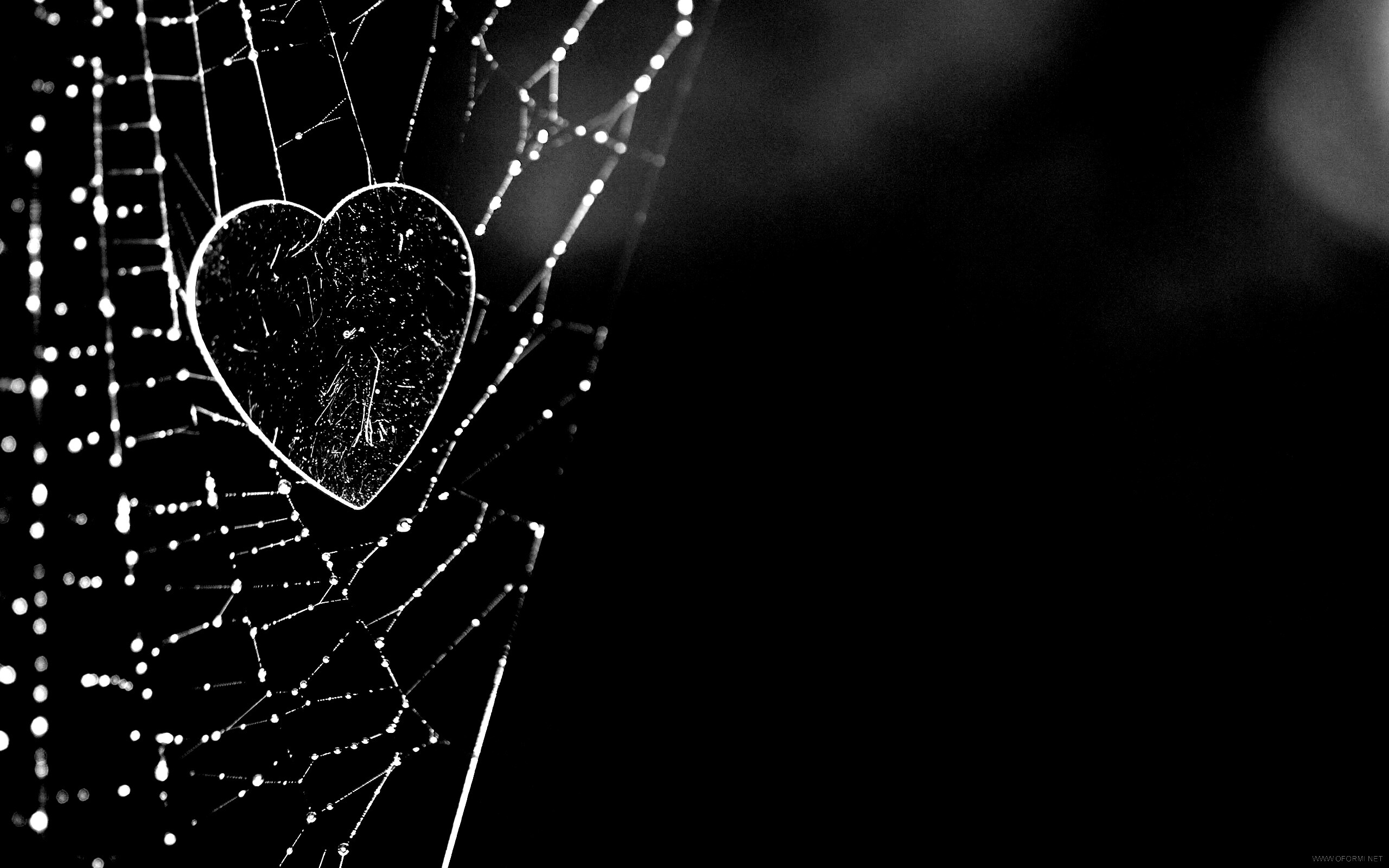 Запутавшаяся любовь.. обои