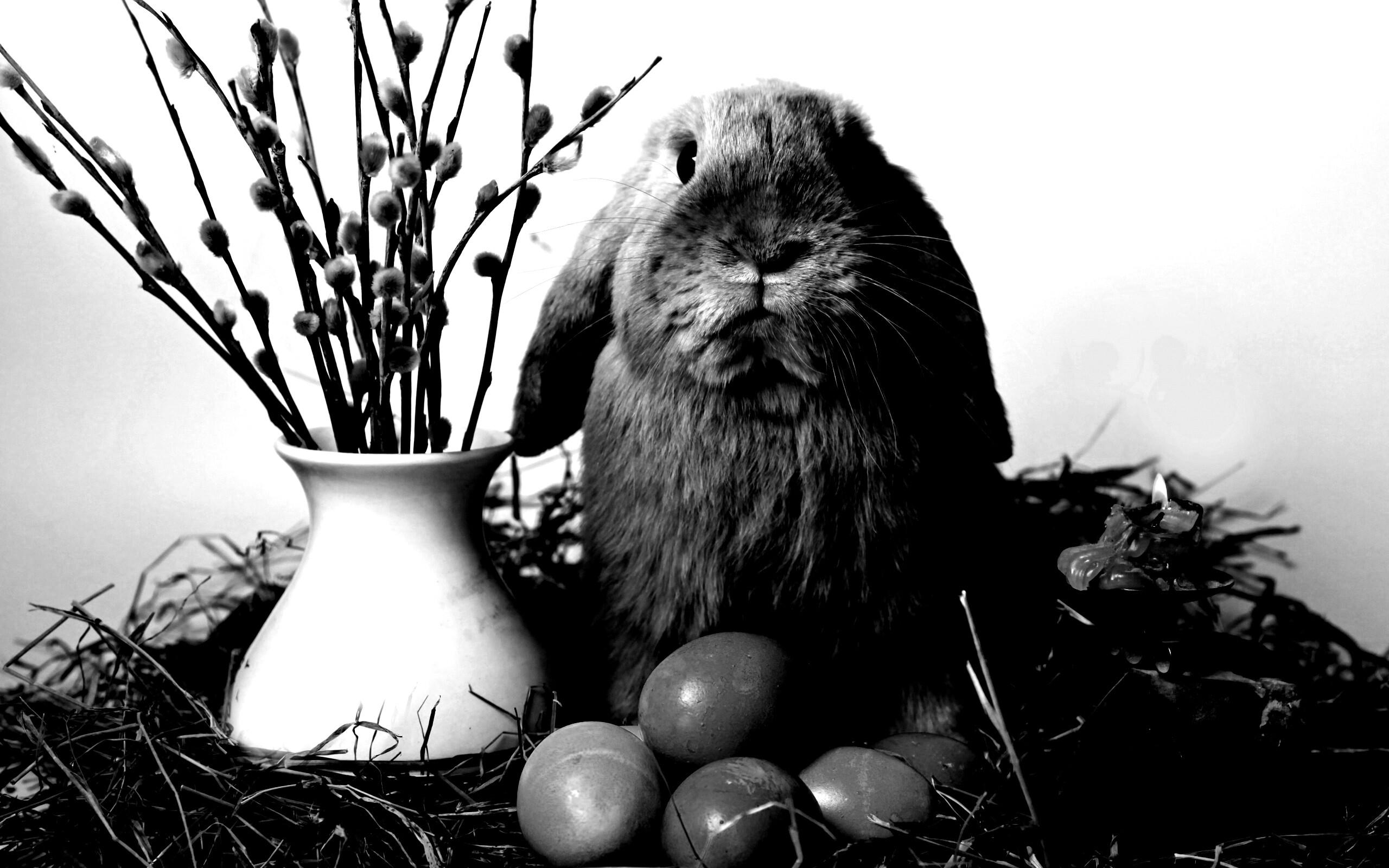 Пасхальный кролик обои