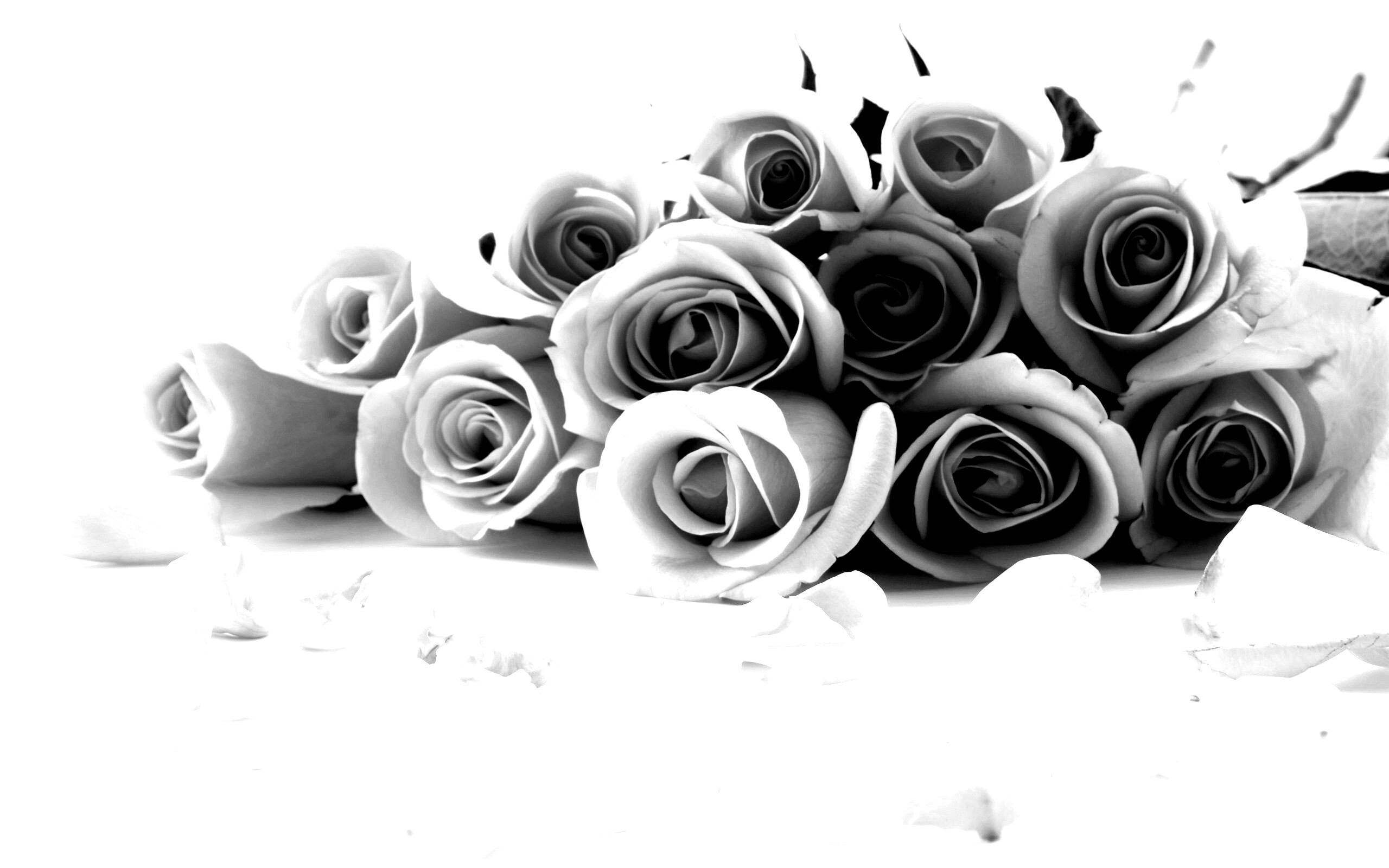 Букет роз обои