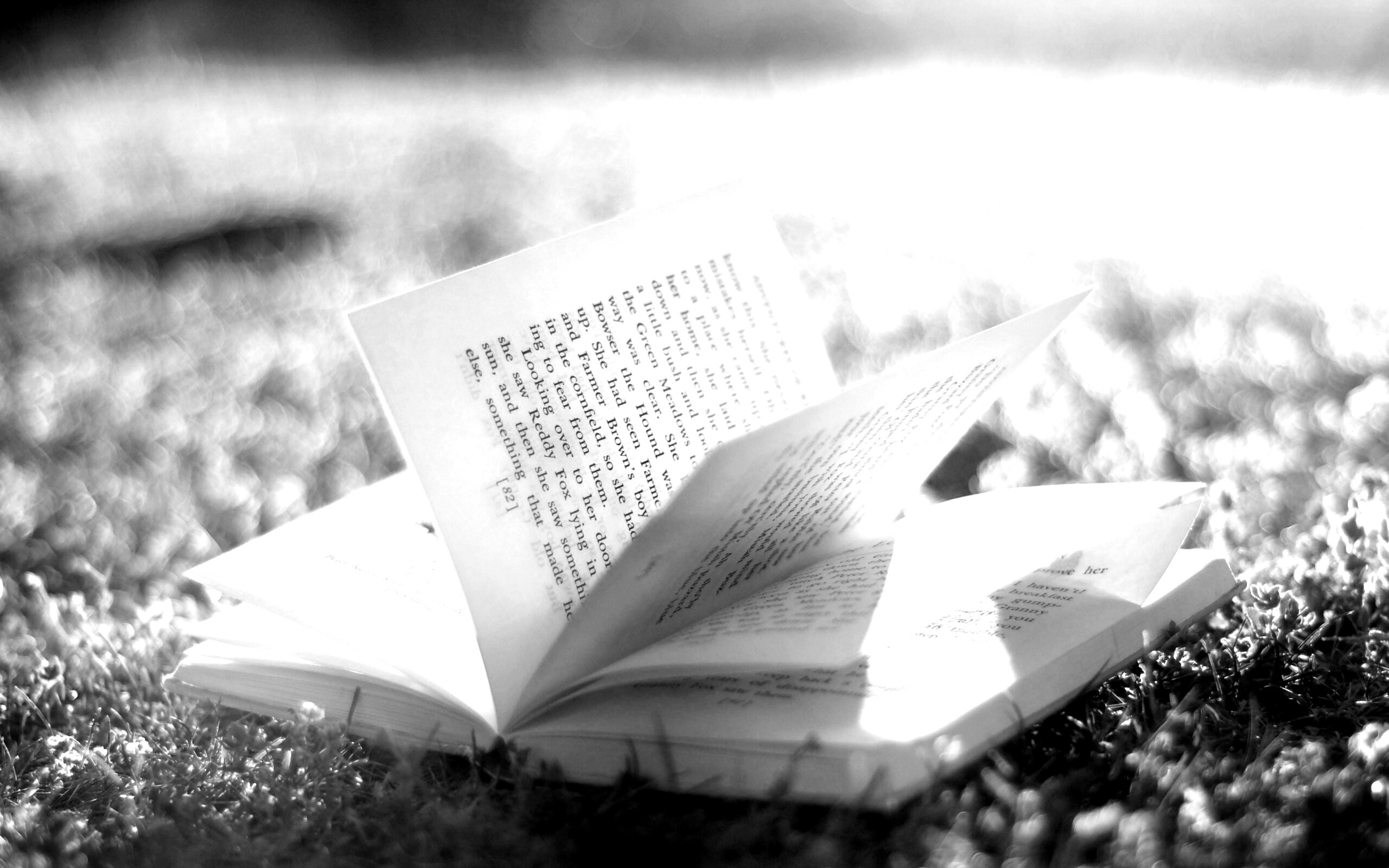 Книга в нежном свете обои