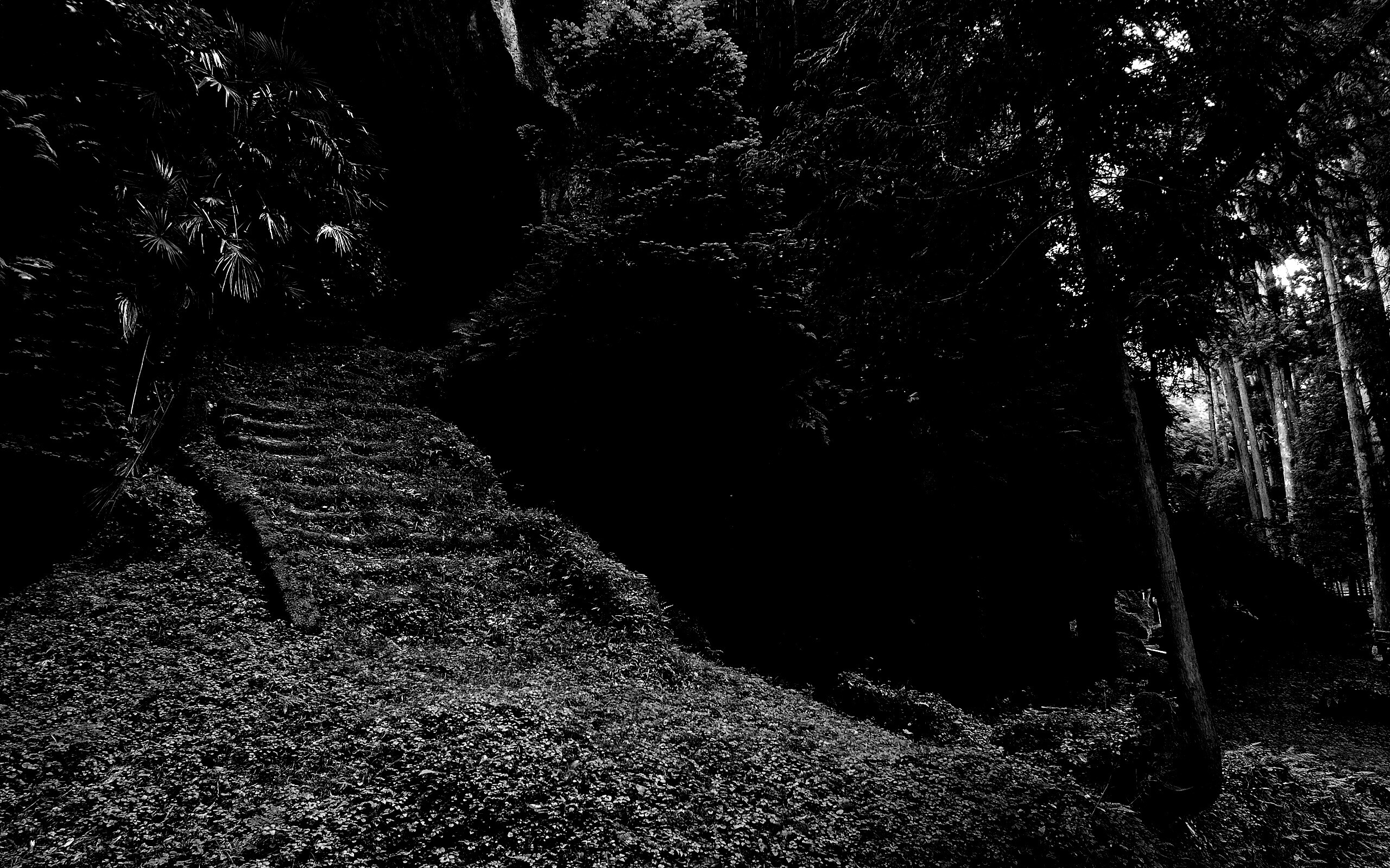 Старинный лесной храм обои