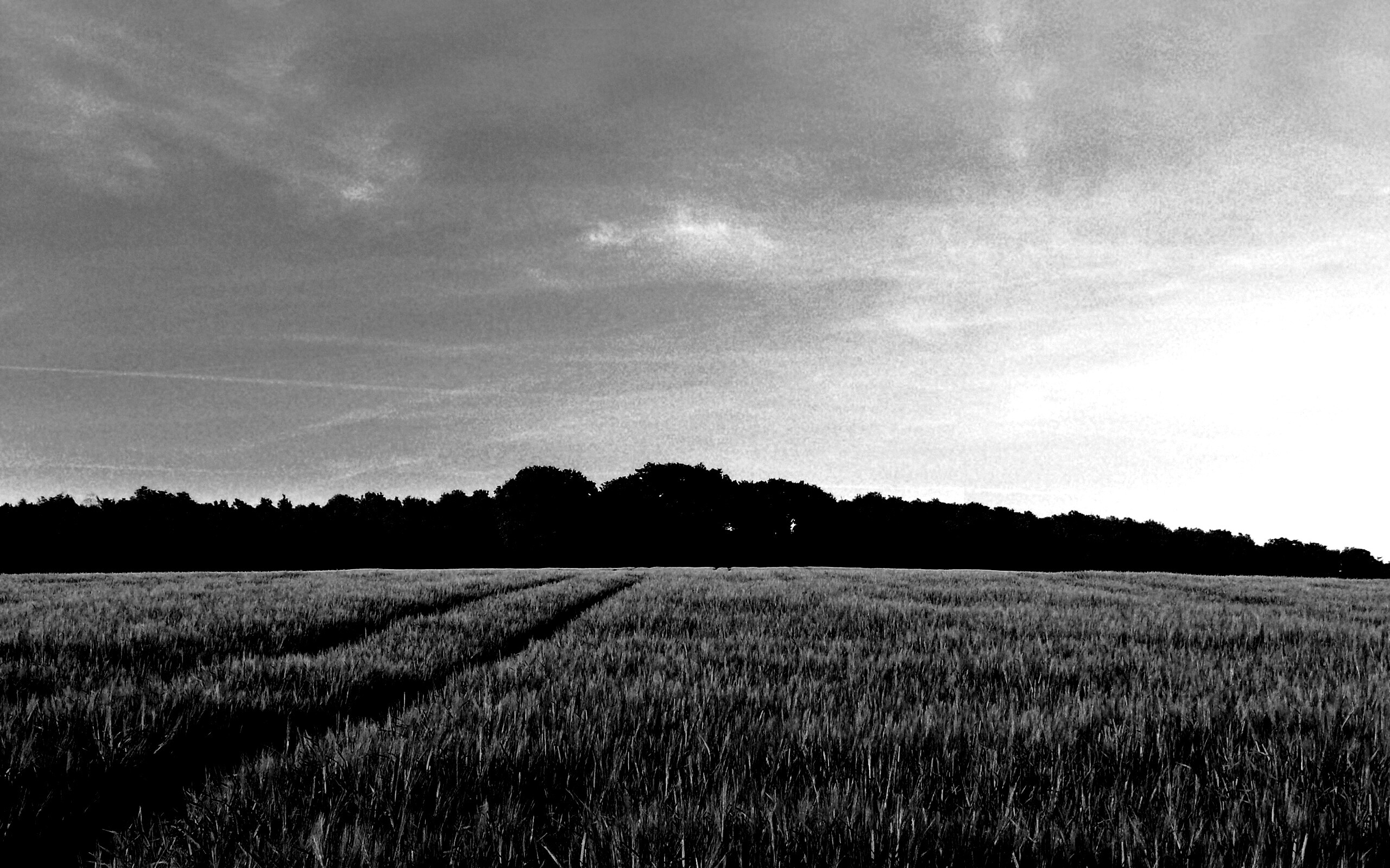 Следы колеи в поле обои